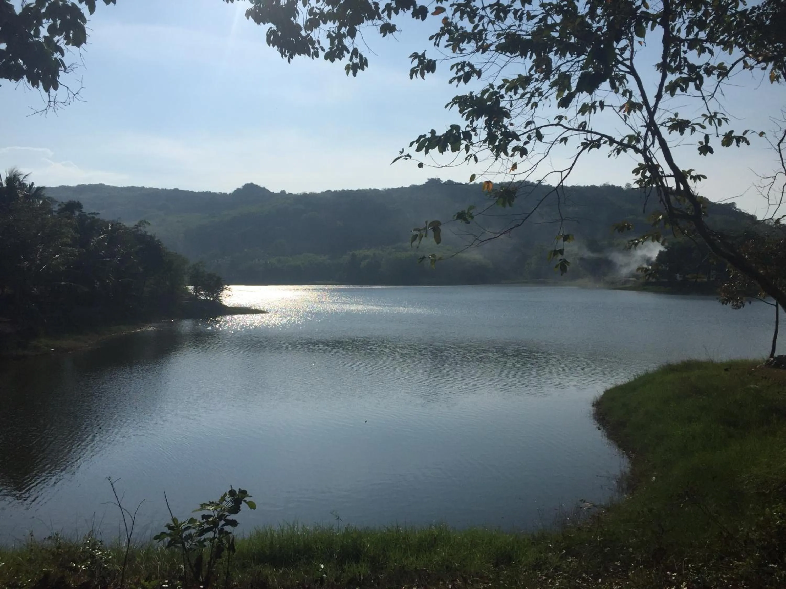 Natural landscape in Thap Pala Cottage