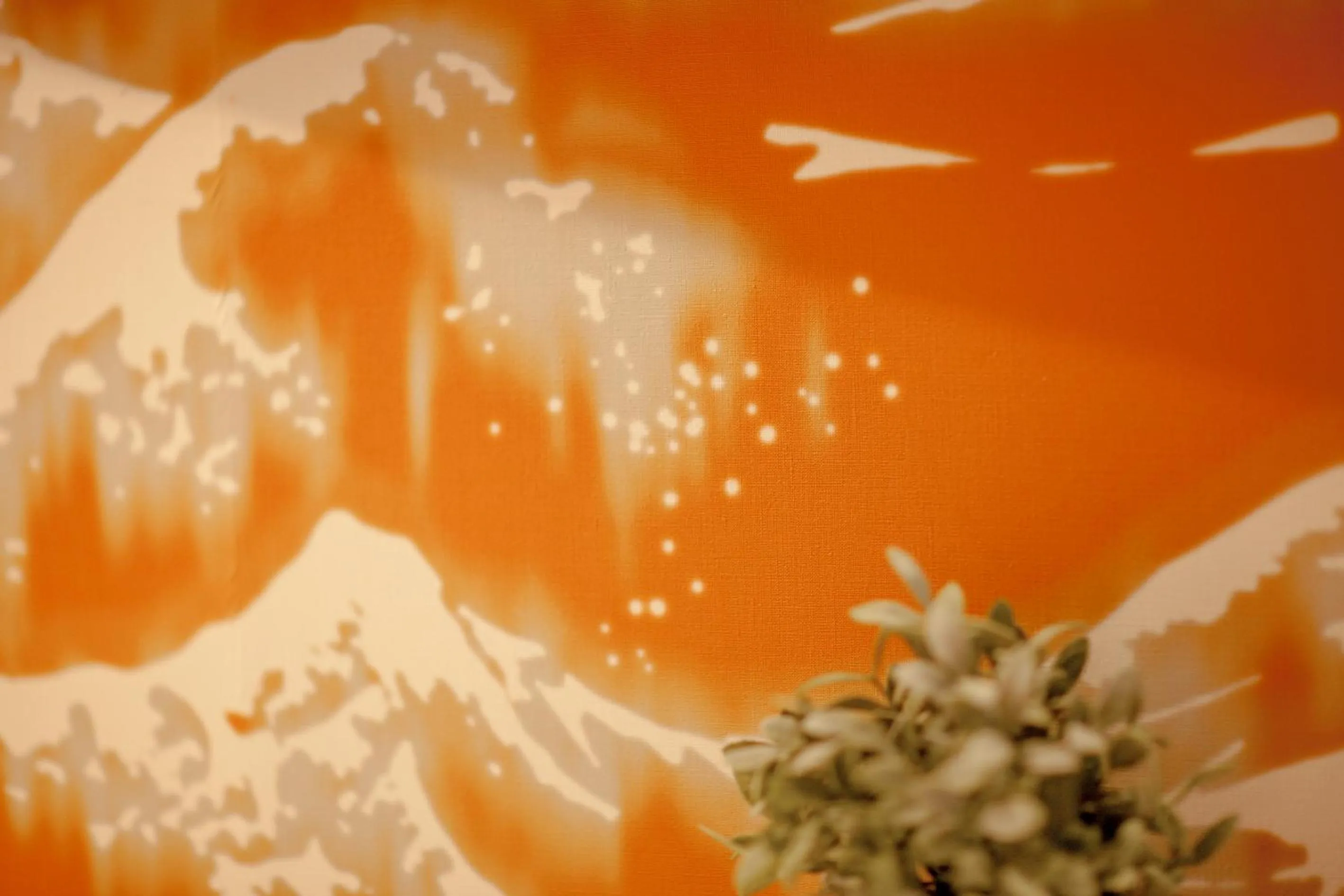 Other in Host & Home