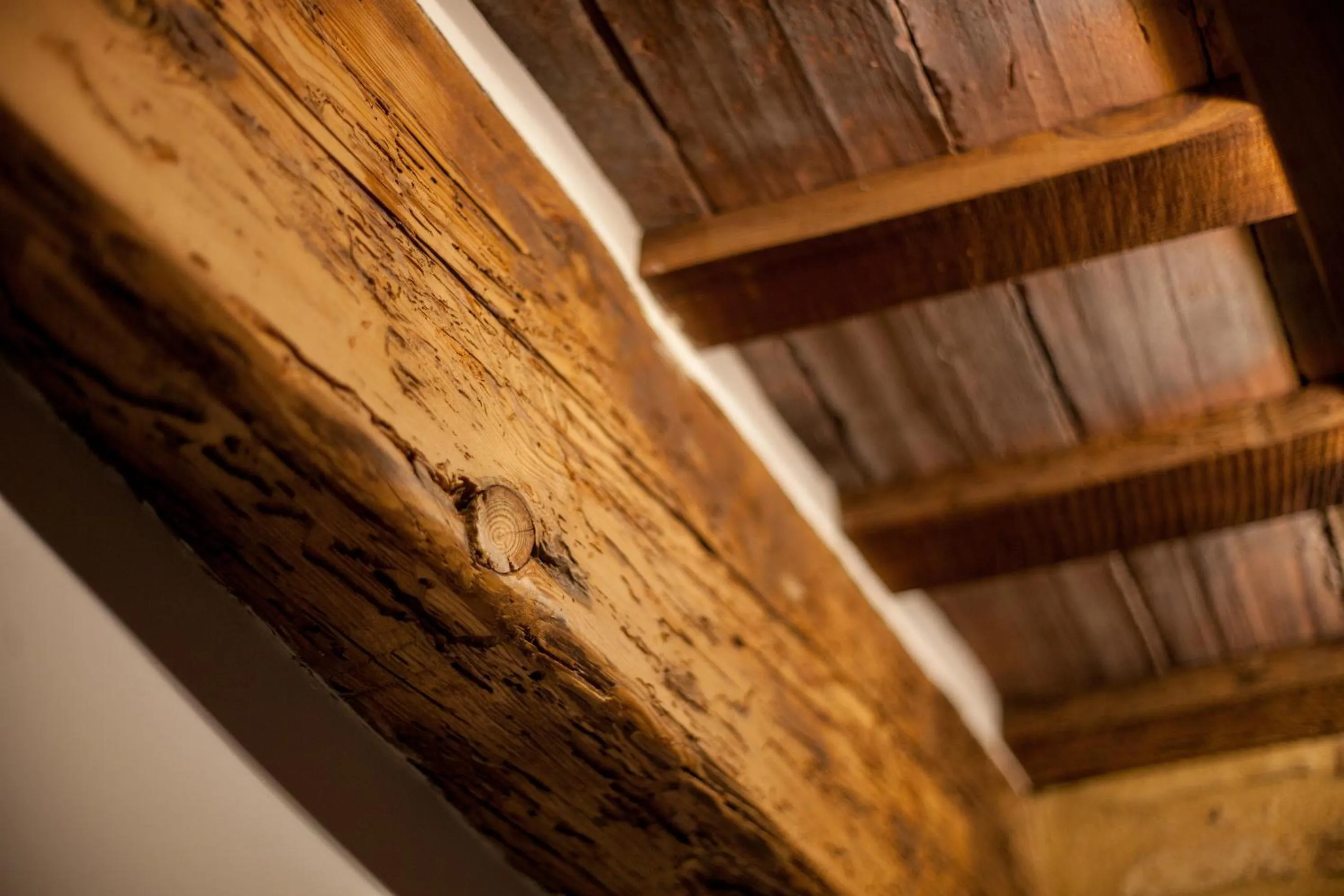 Other in Host & Home