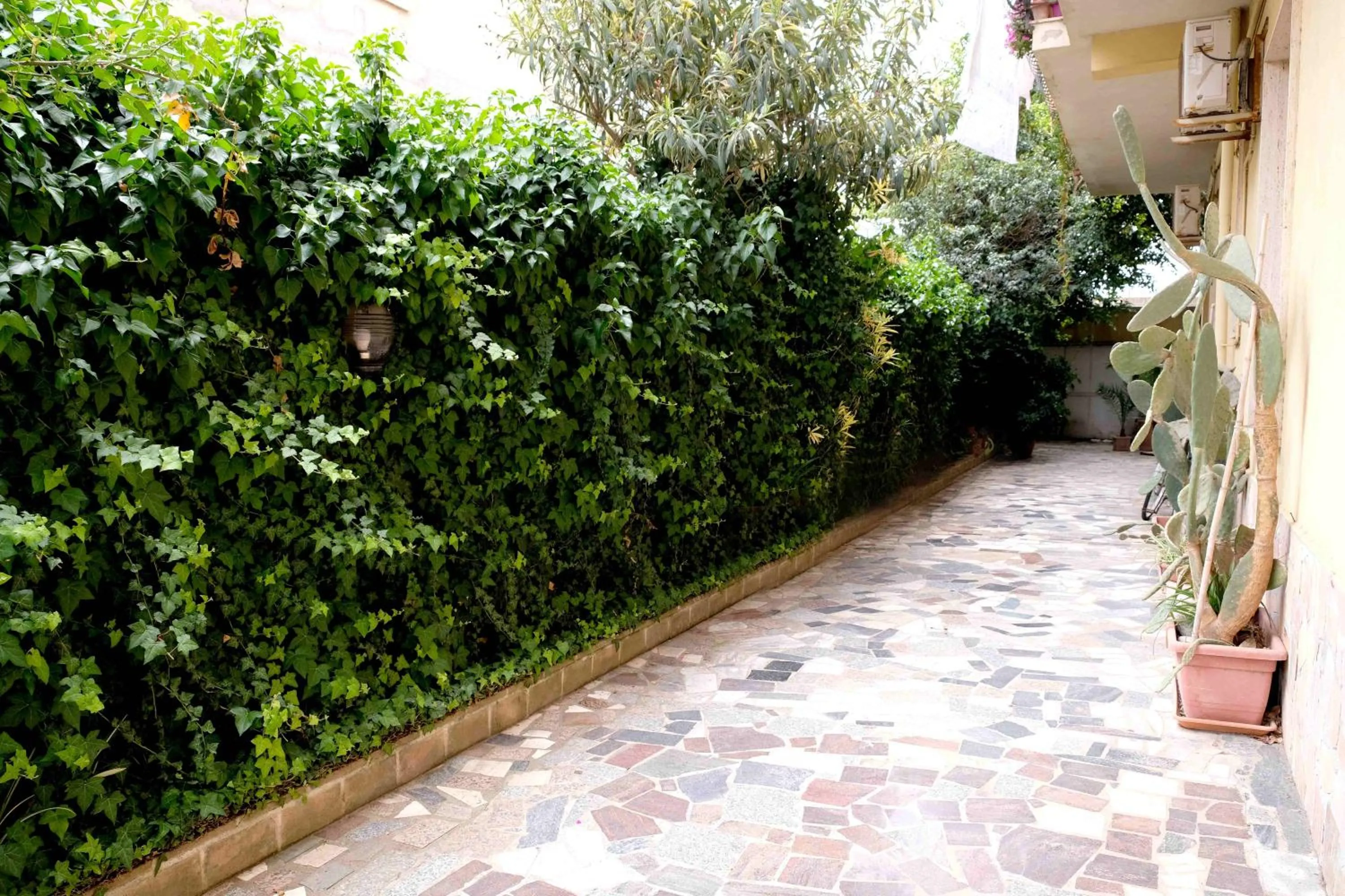 Inner courtyard view in Kalinikta B&B