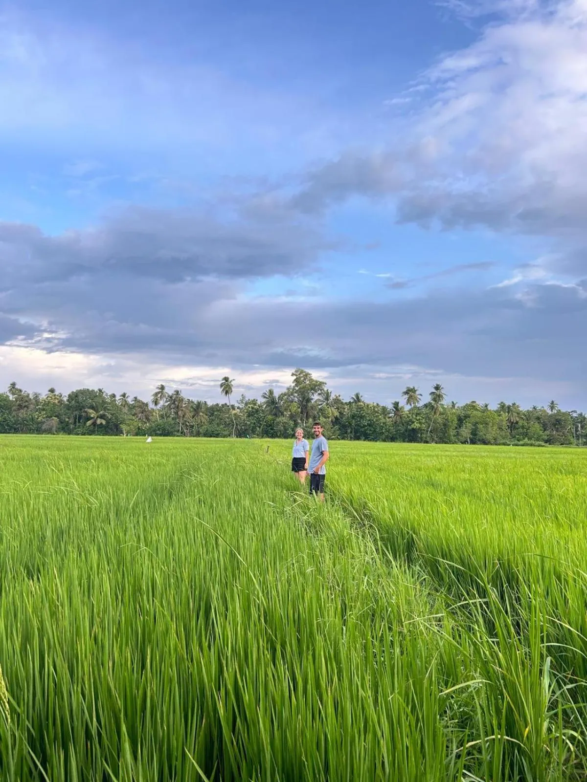 Viveka Inn Guest and Yala Safari