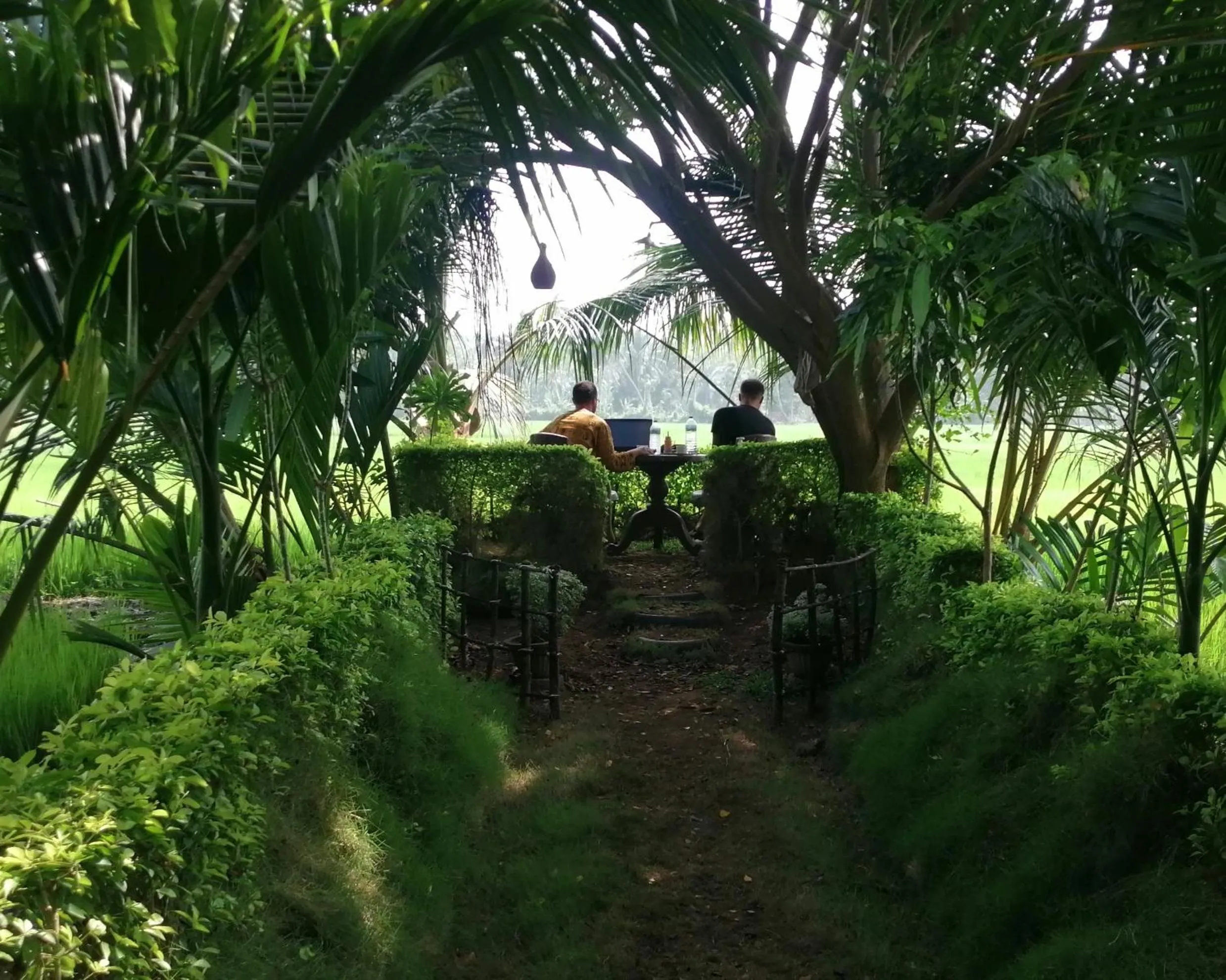Natural landscape in Viveka Inn Guest and Yala Safari
