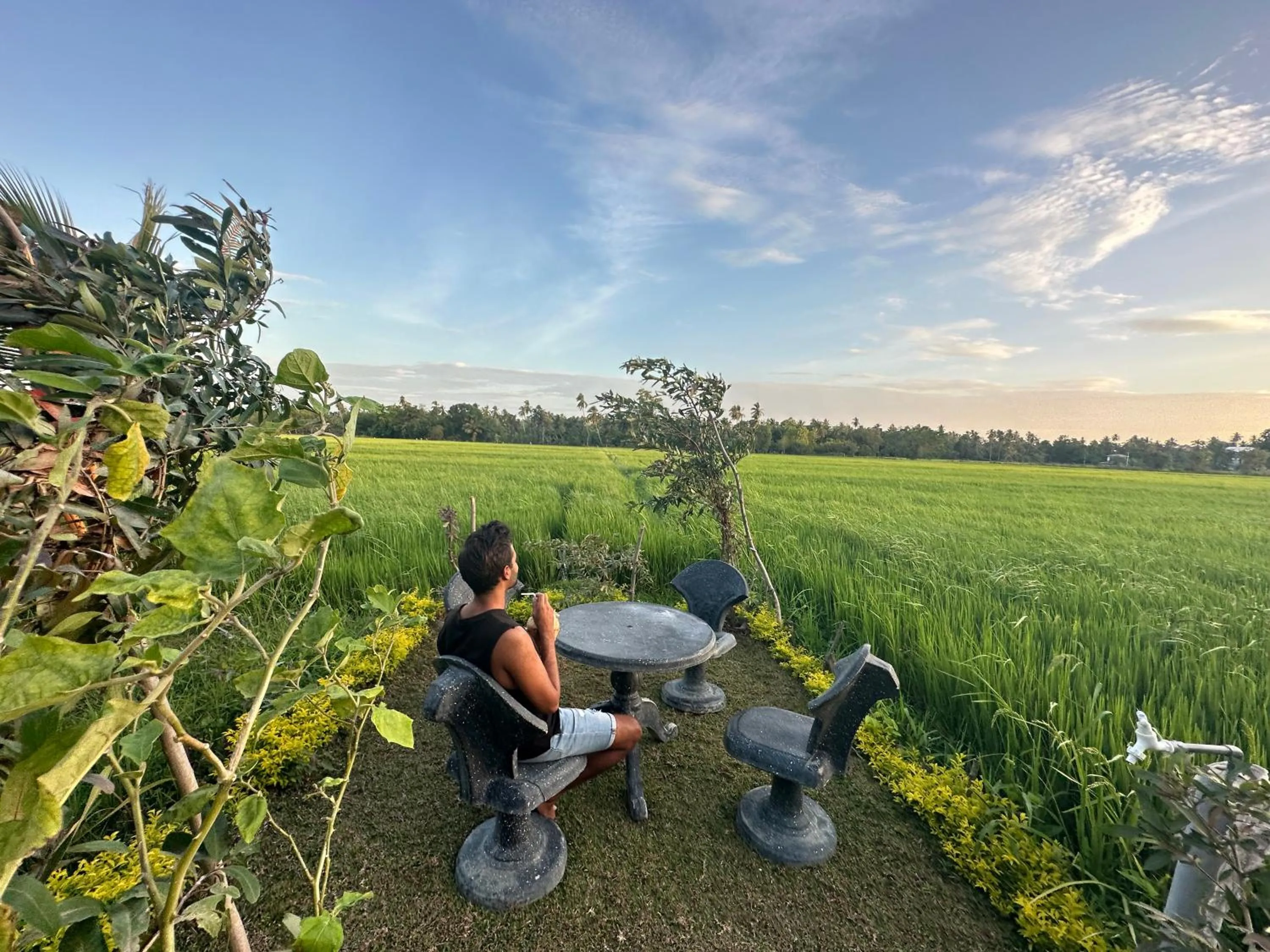 Natural landscape in Viveka Inn Guest and Yala Safari
