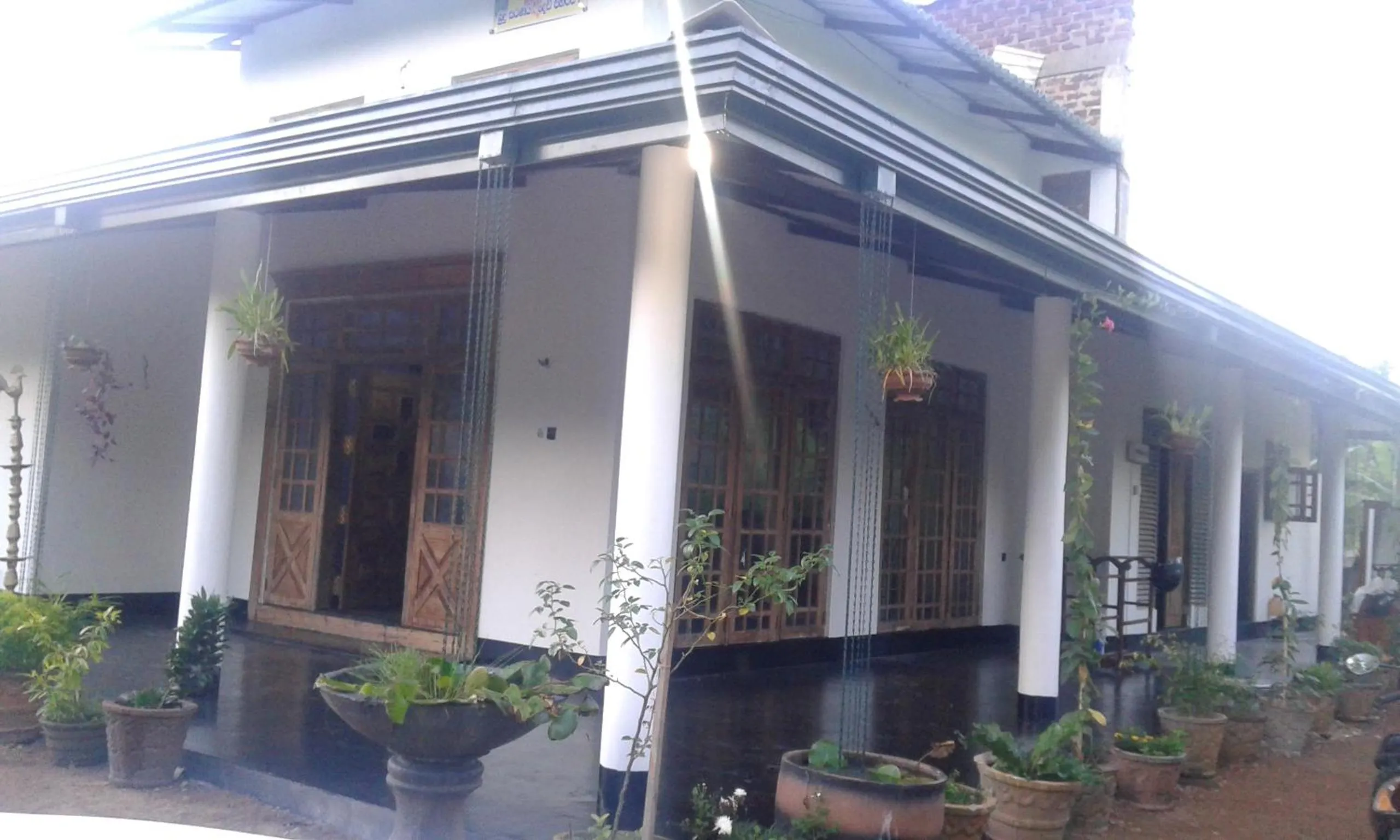 Decorative detail in White Guest