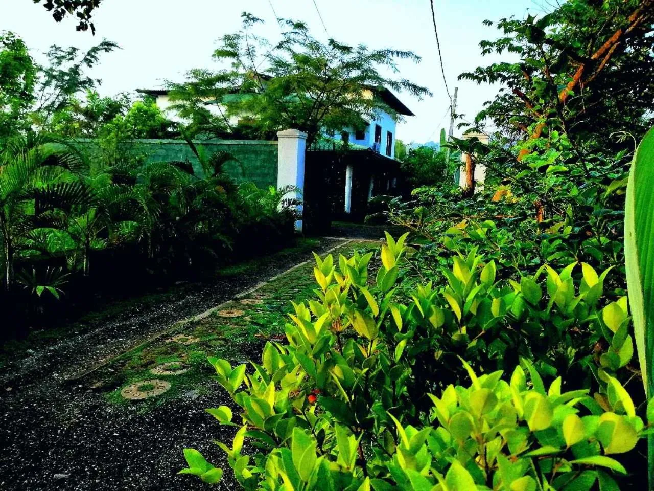 Garden in White Guest