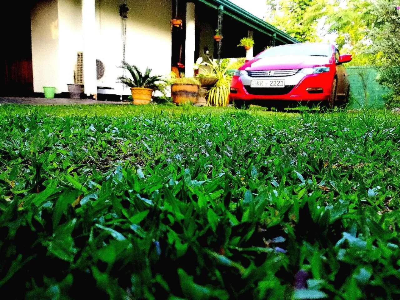 Garden in White Guest