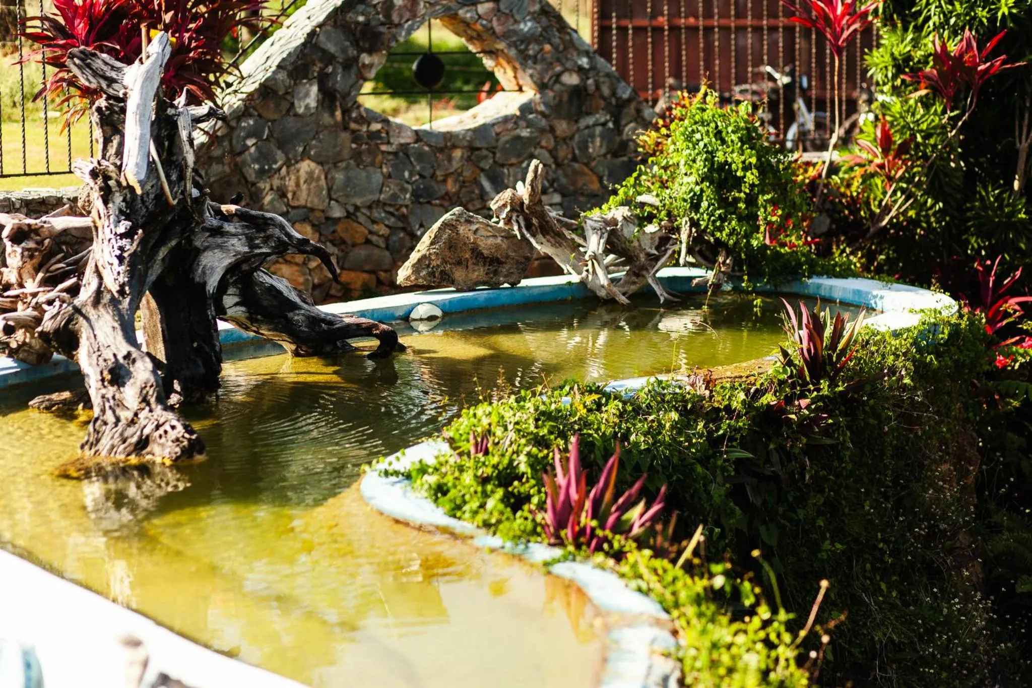 Garden in Sunset Samana