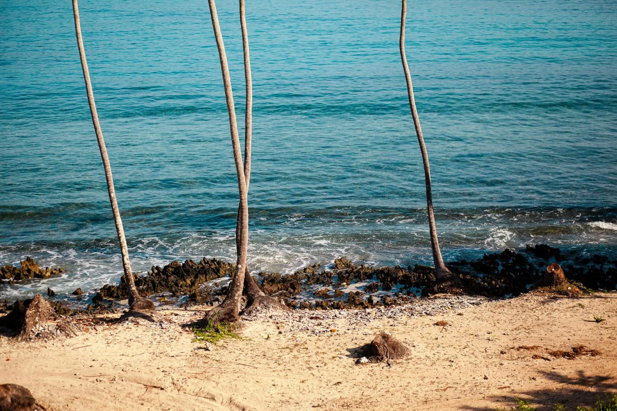 Beach in Sunset Samana