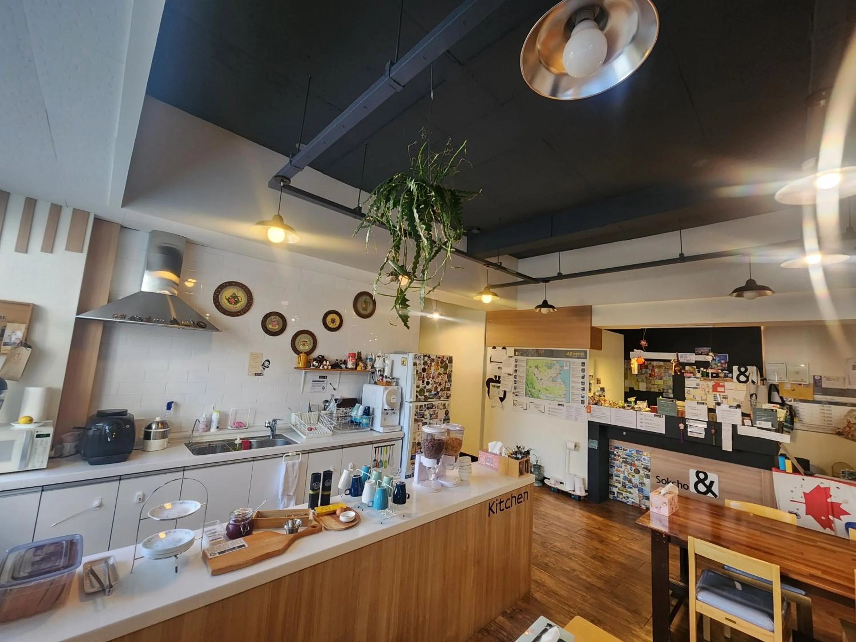 Property building in Sokcho & Guesthouse