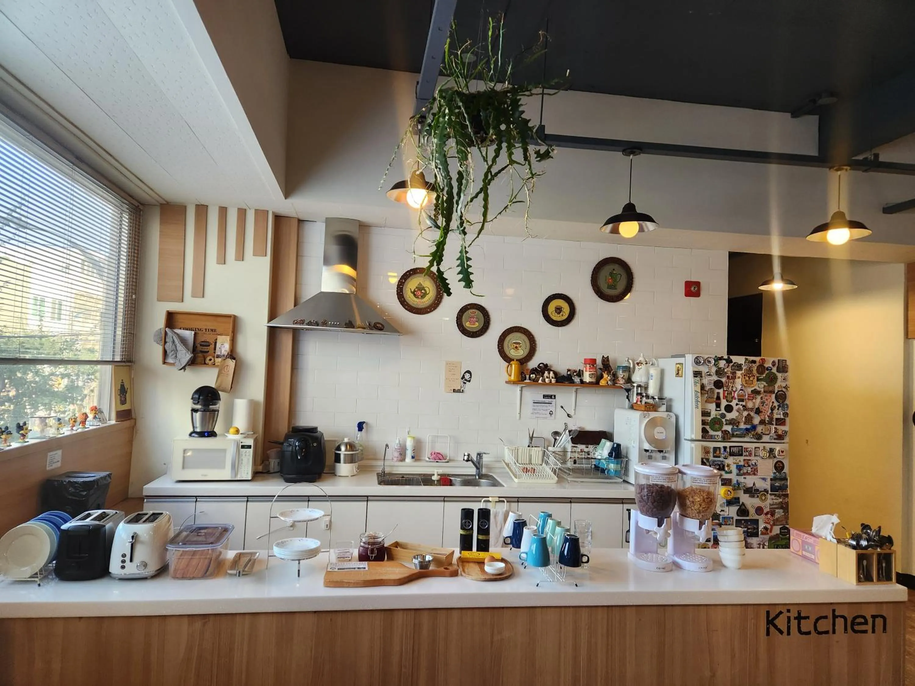 Property building in Sokcho & Guesthouse