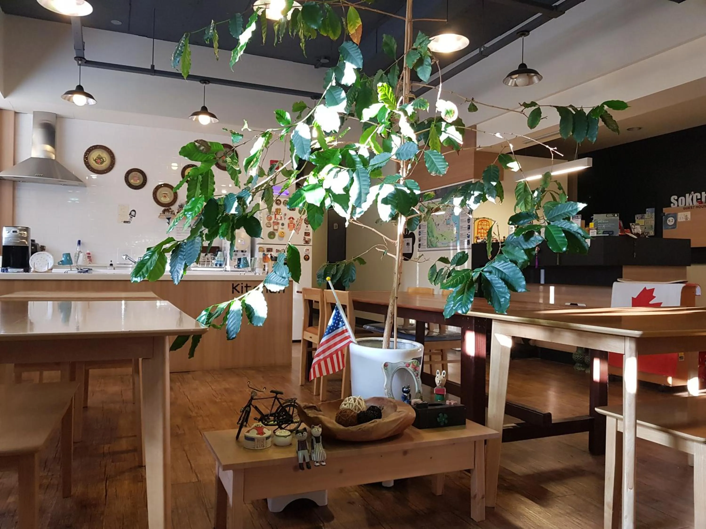 Property building in Sokcho & Guesthouse