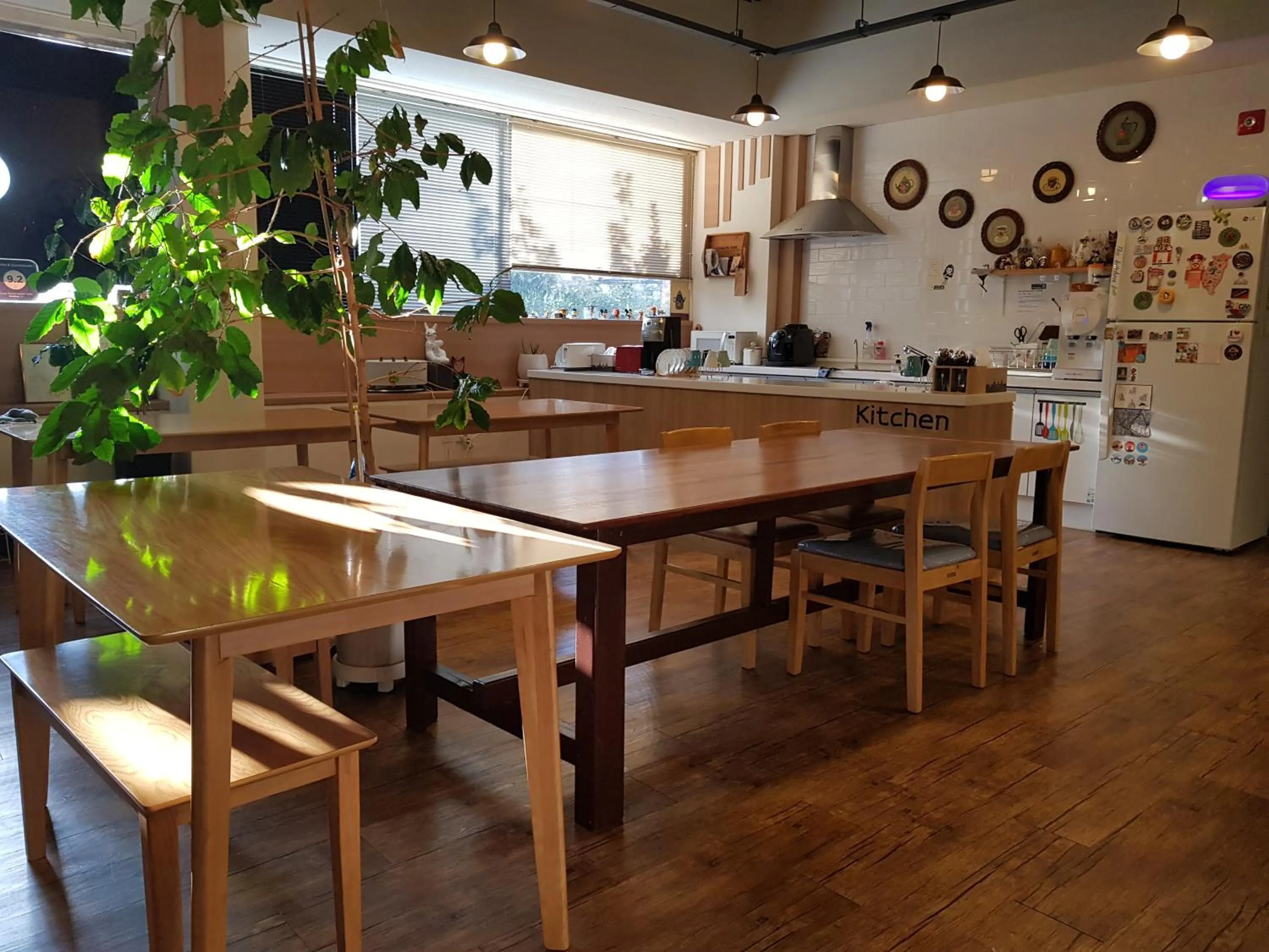 Property building in Sokcho & Guesthouse