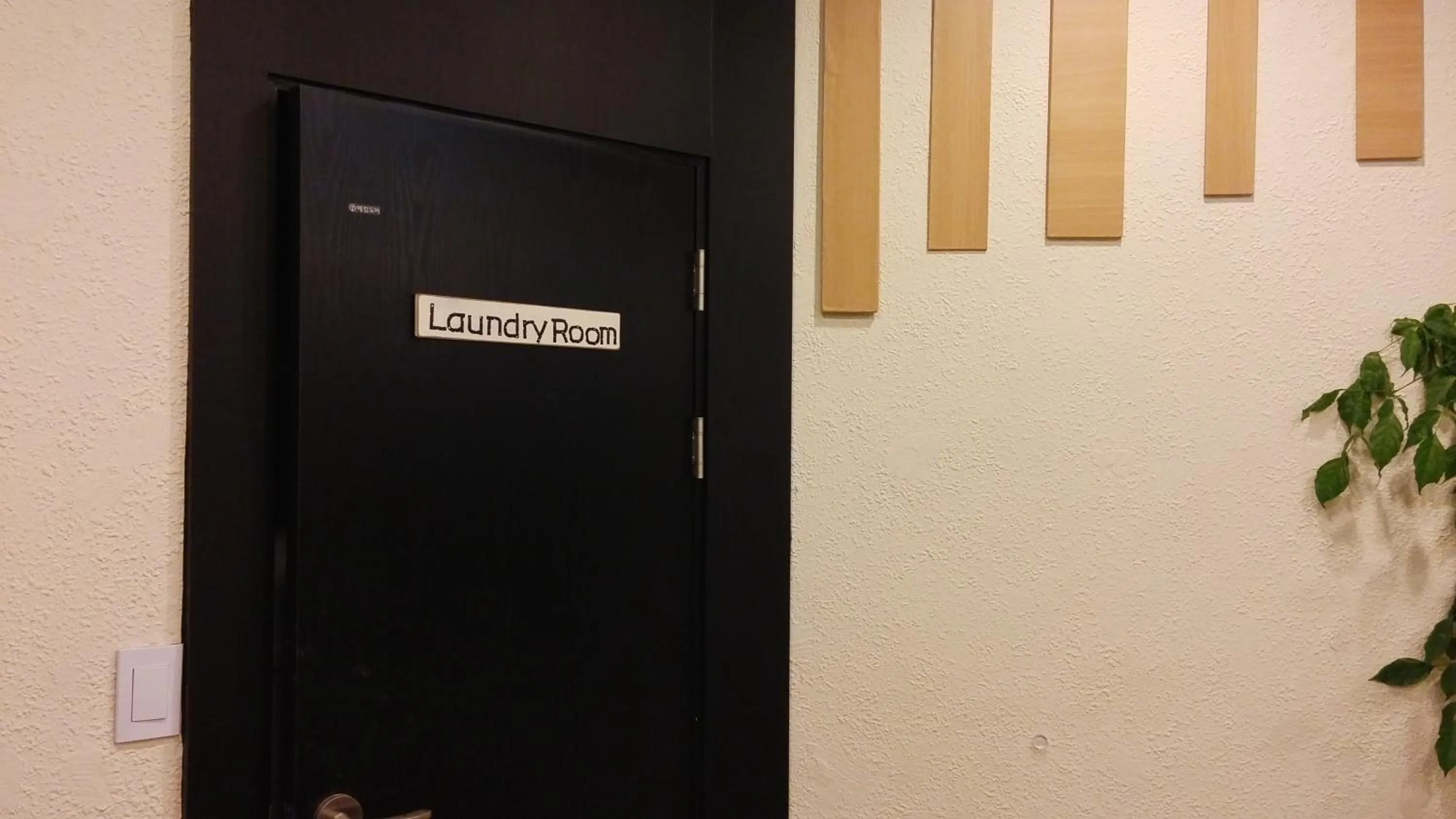 Area and facilities in Sokcho & Guesthouse