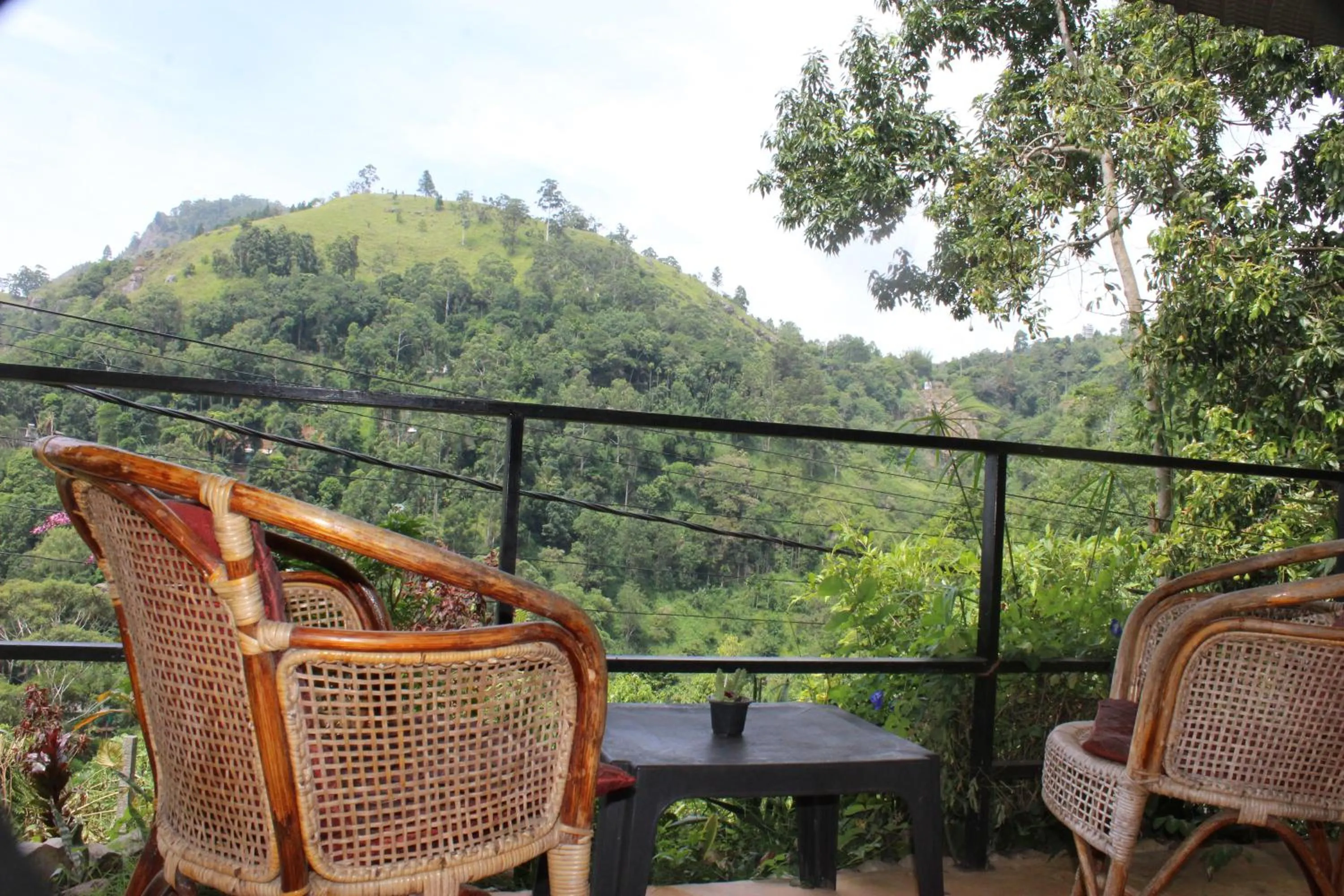 View (from property/room) in Welcome Inn