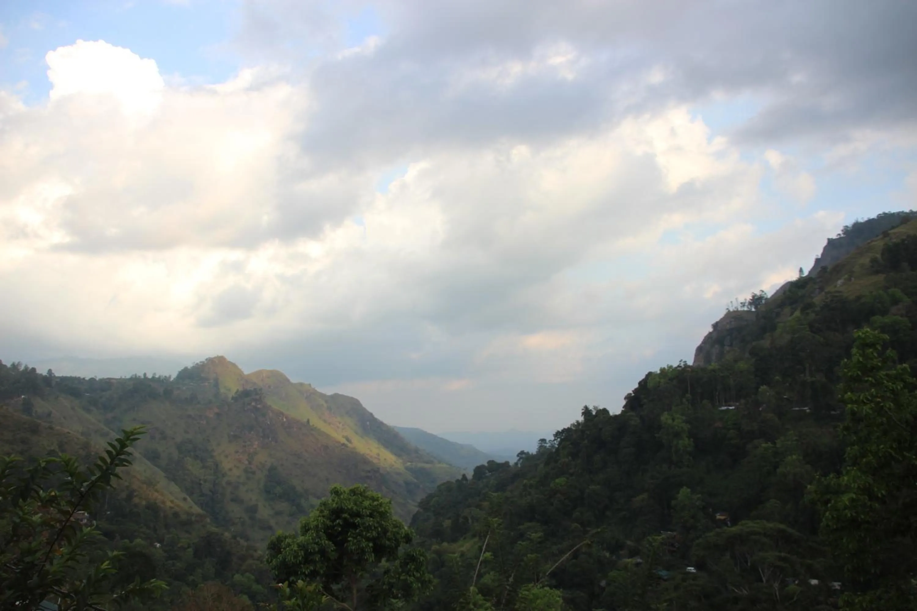 Natural landscape in Welcome Inn
