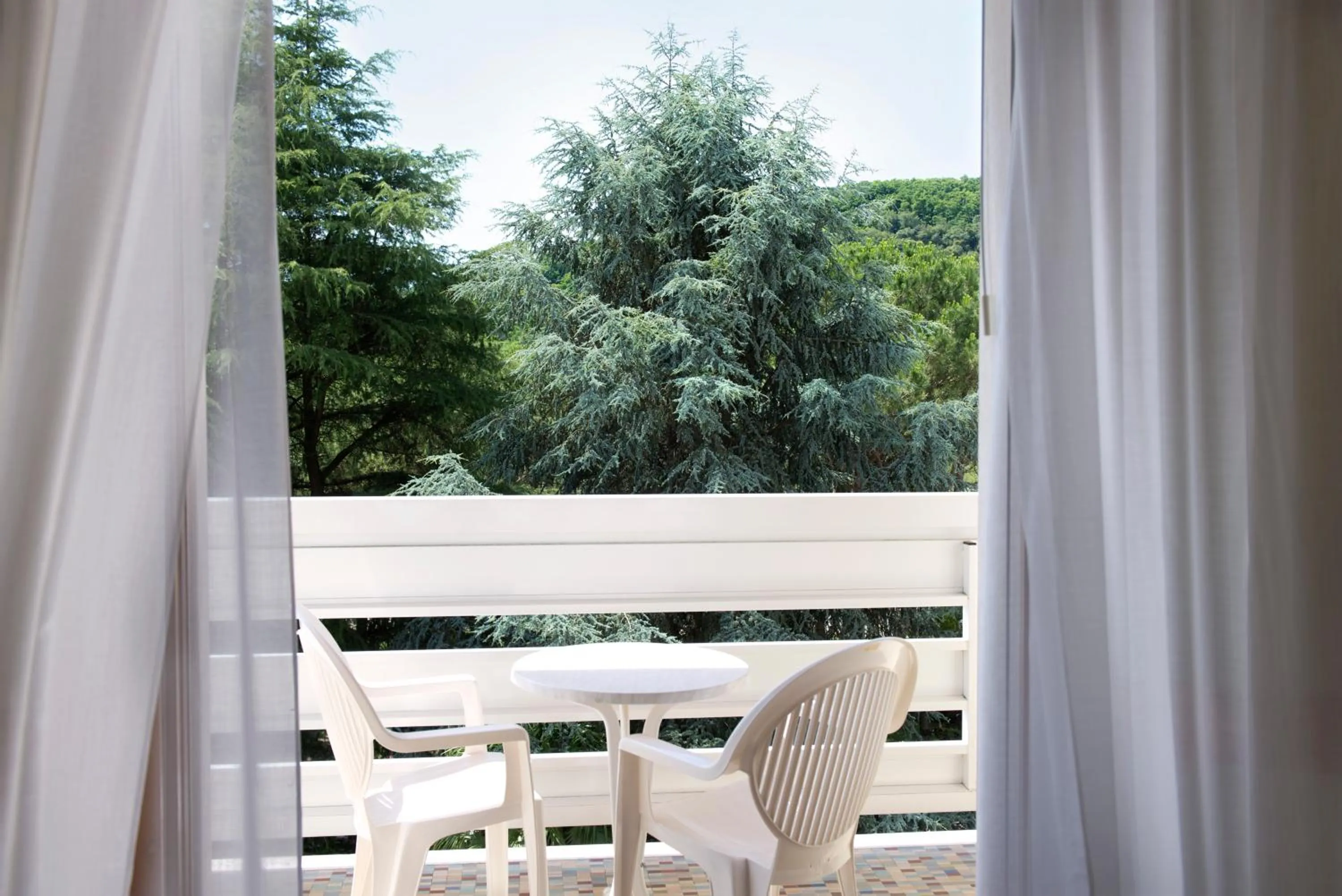 Balcony/Terrace in Hotel Apollo Terme