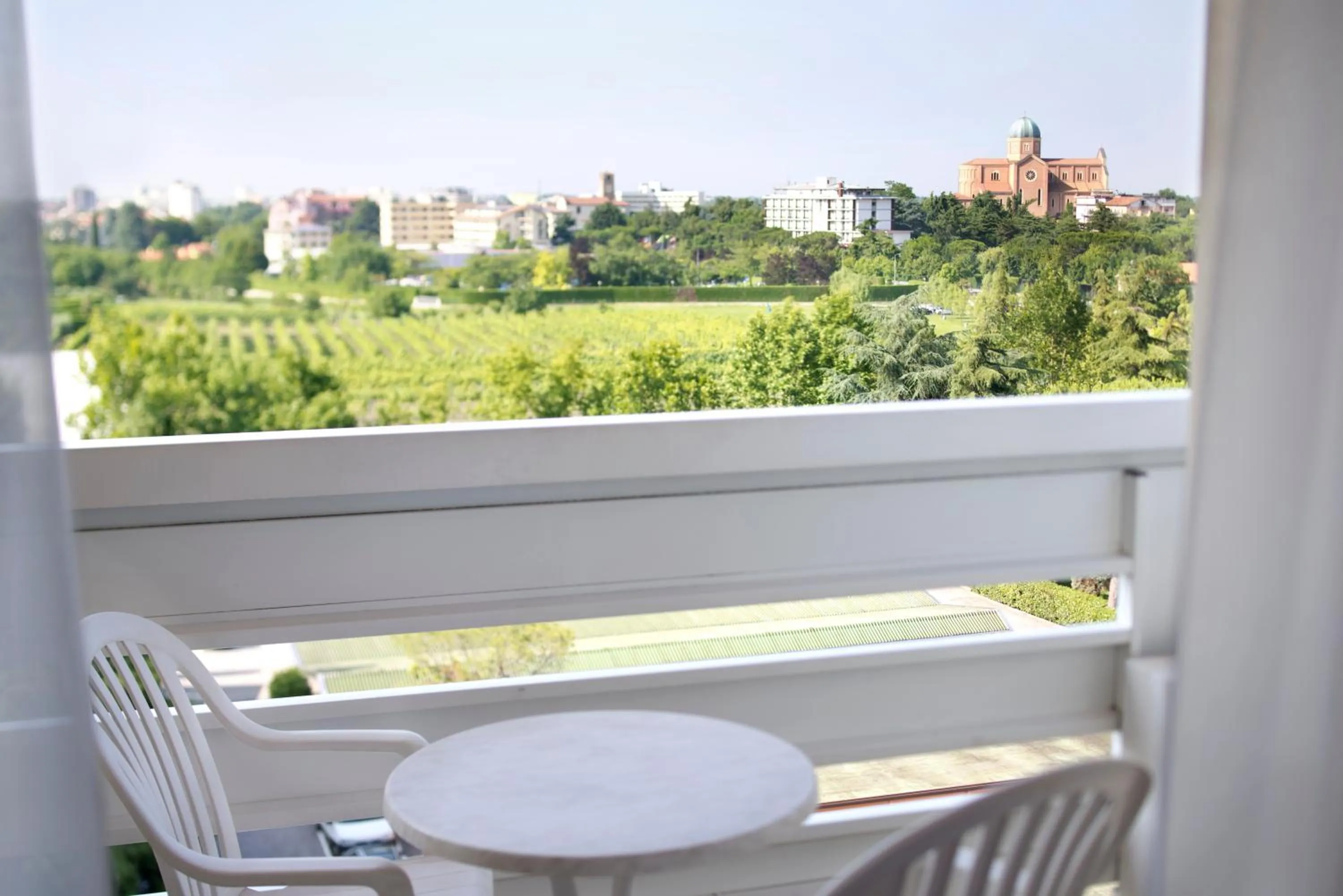 Balcony/Terrace in Hotel Apollo Terme