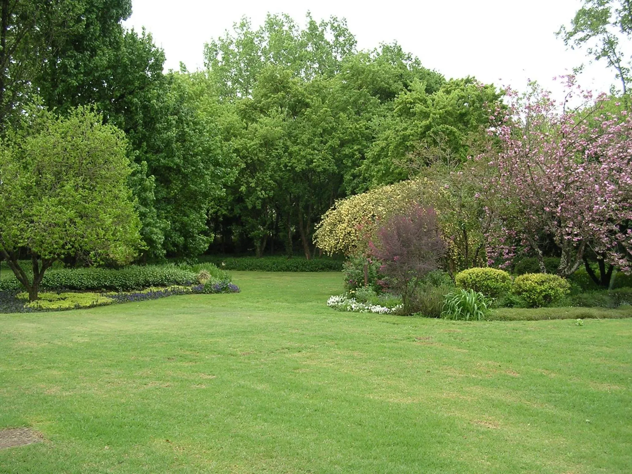 Garden in Cedar Garden