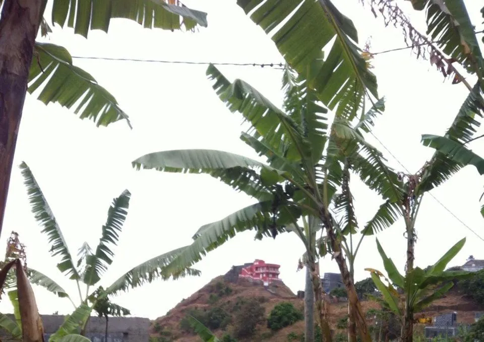 Property building in Gira Lua