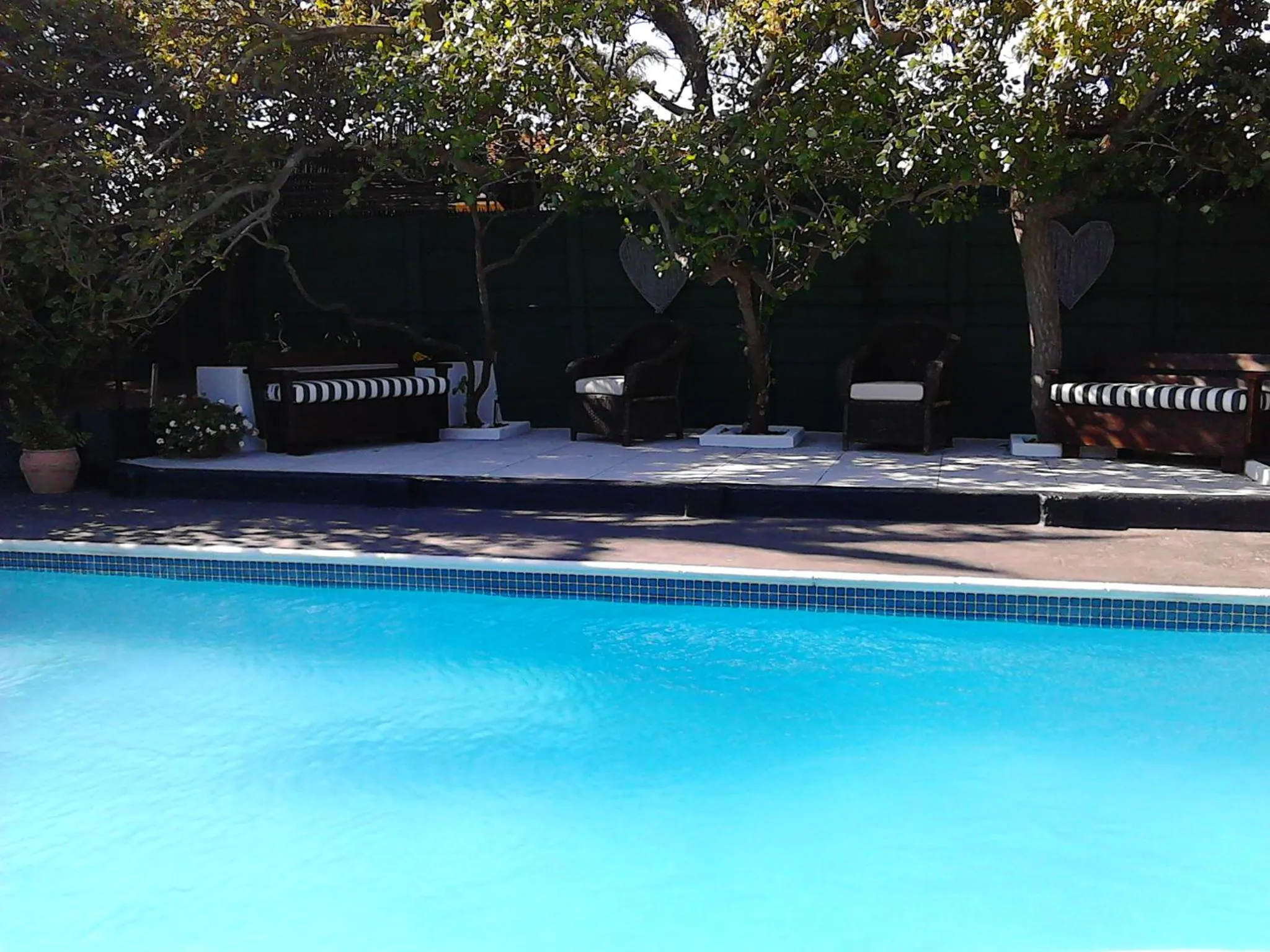 Garden in Port House