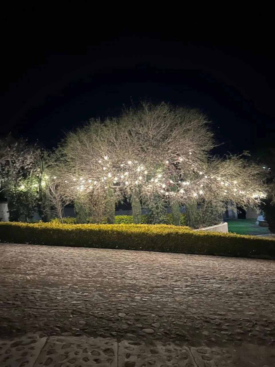 Off site in Cabañas Rancho San Jorge