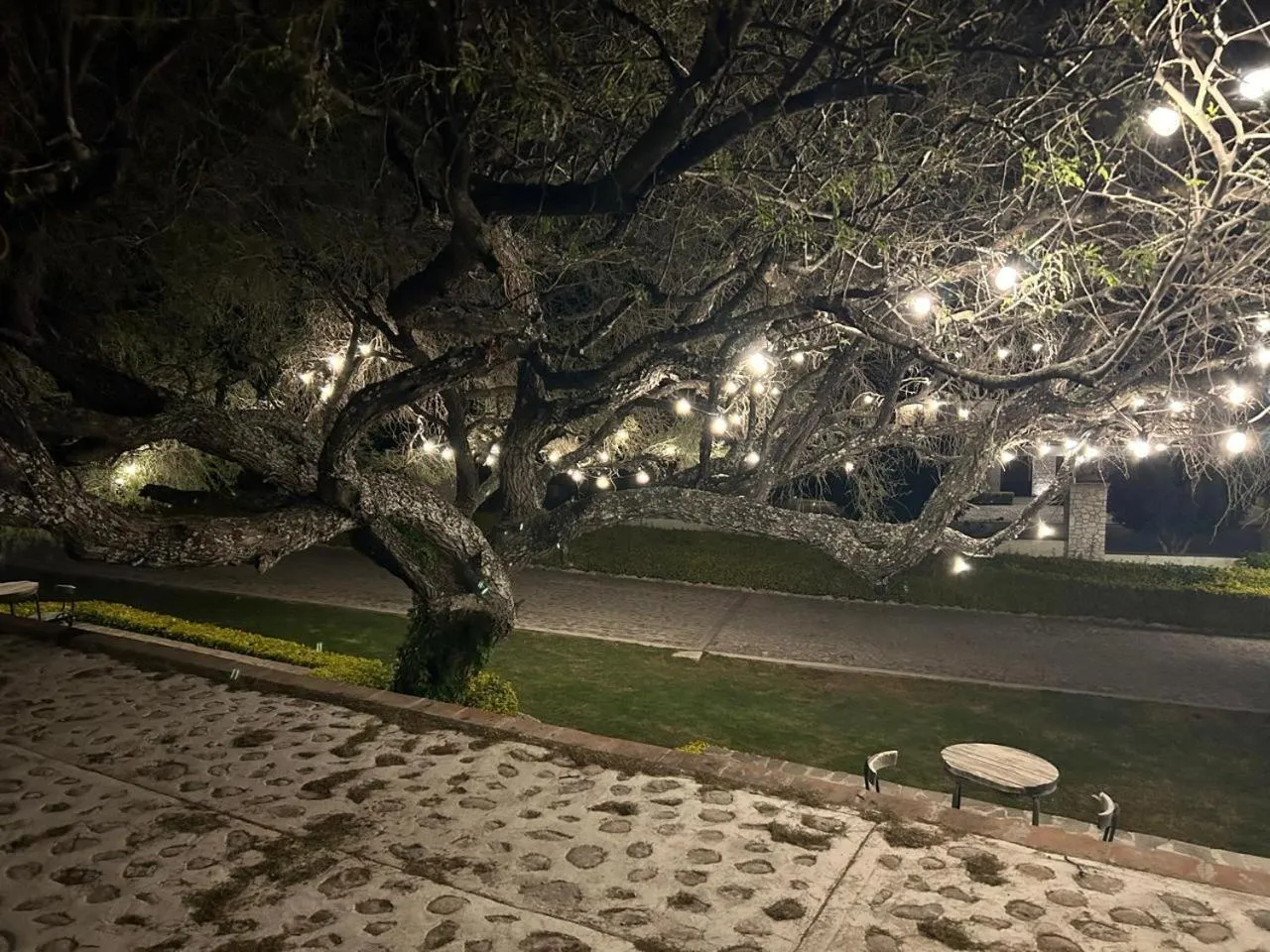 Night in Cabañas Rancho San Jorge