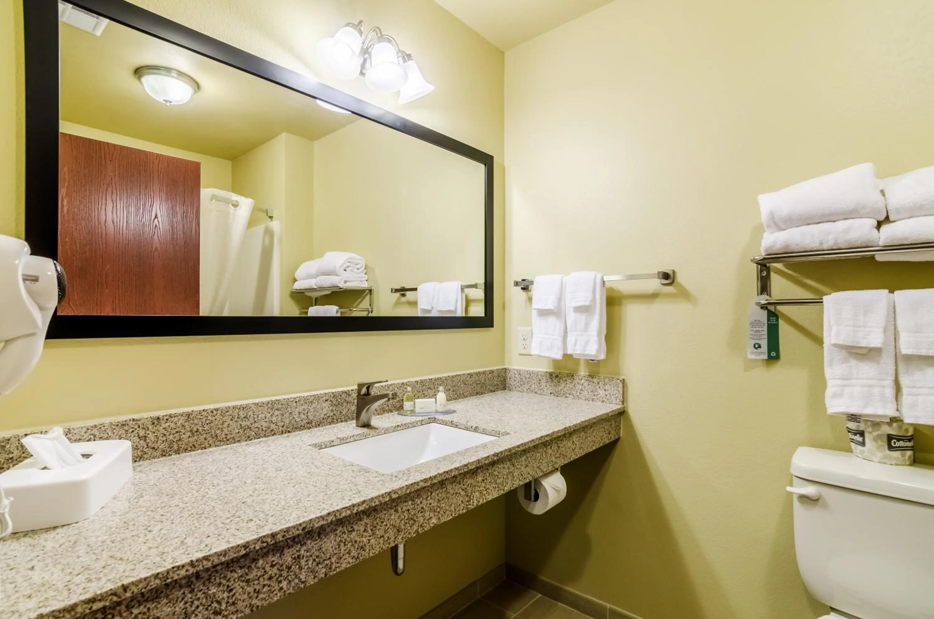 Bathroom in Cobblestone Inn & Suites - Oberlin