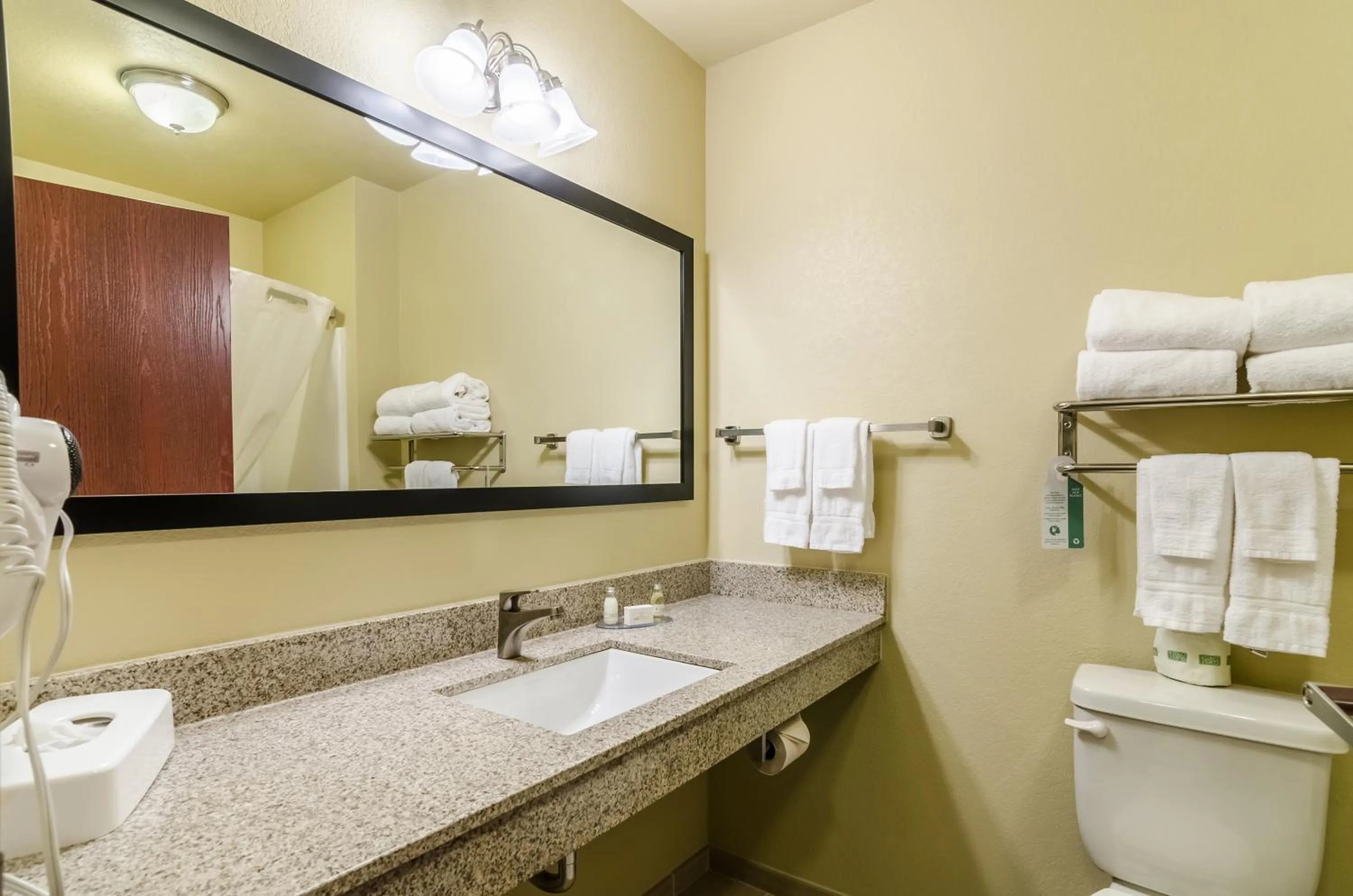 Toilet in Cobblestone Inn & Suites - Oberlin
