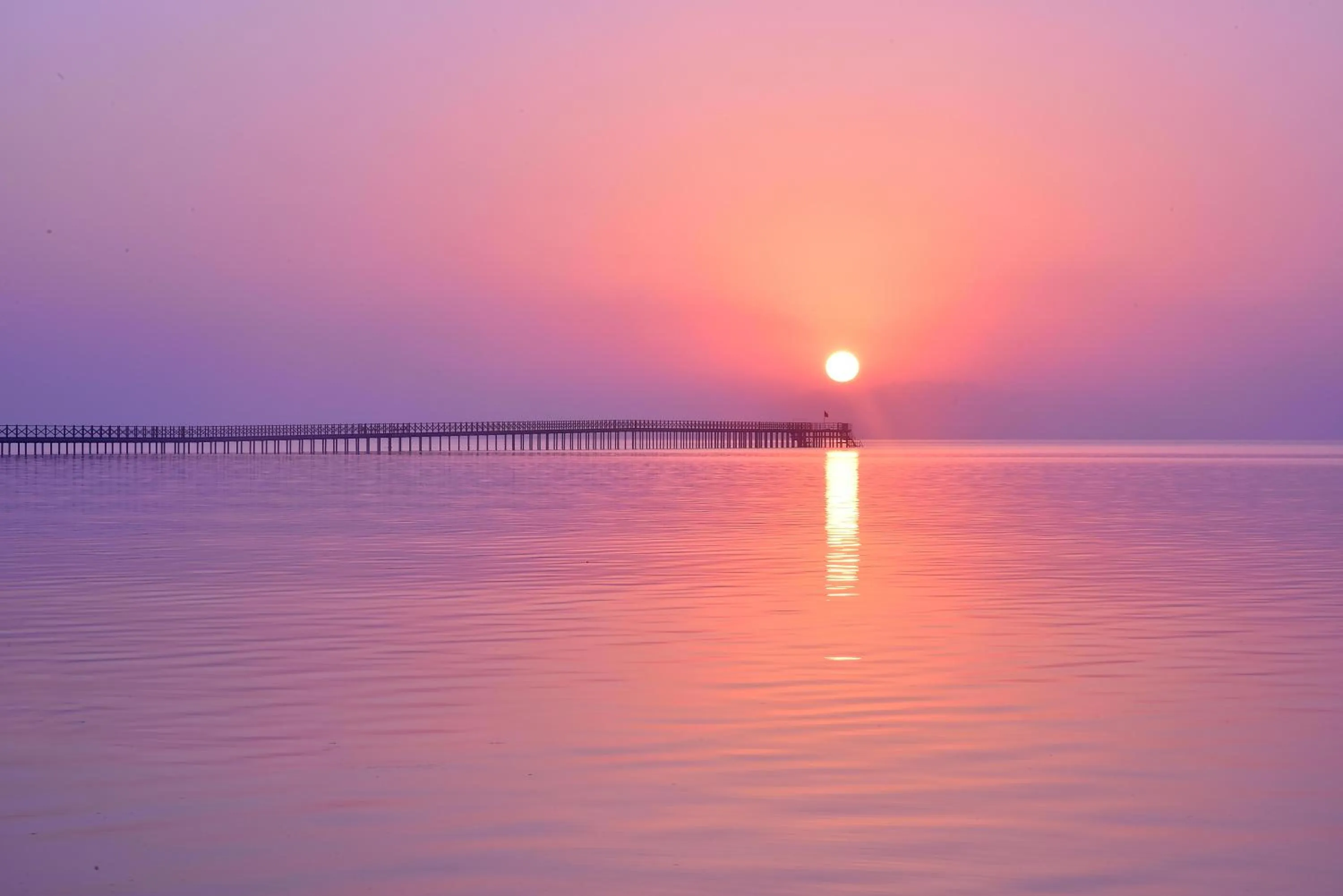 Other in Steigenberger Alcazar