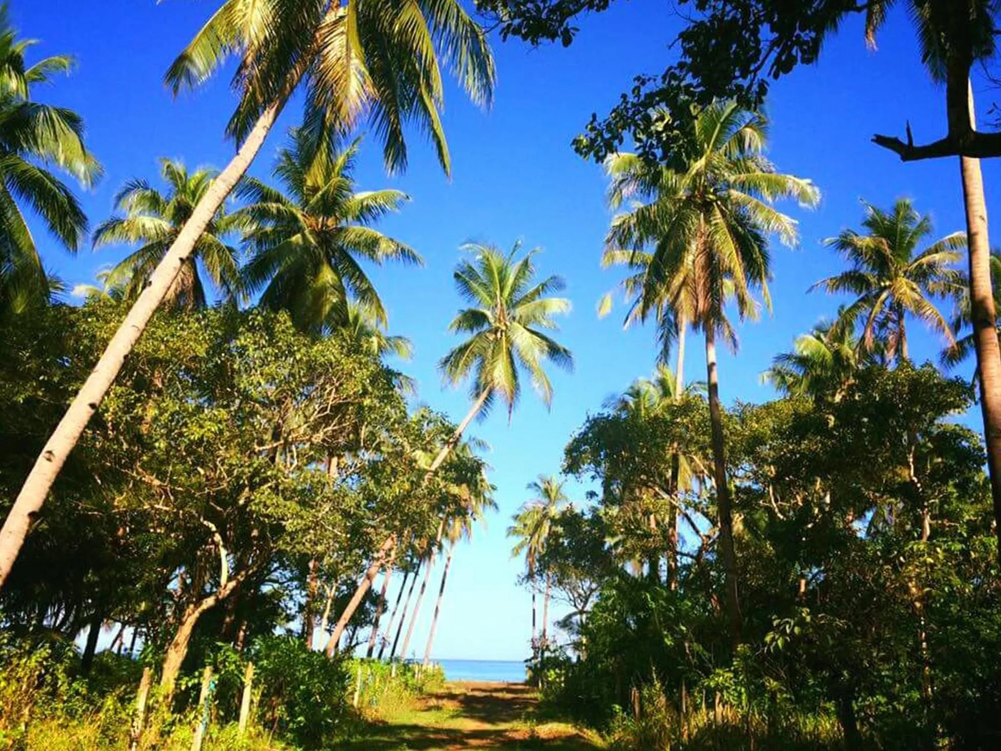 Other in Jurisu Resort