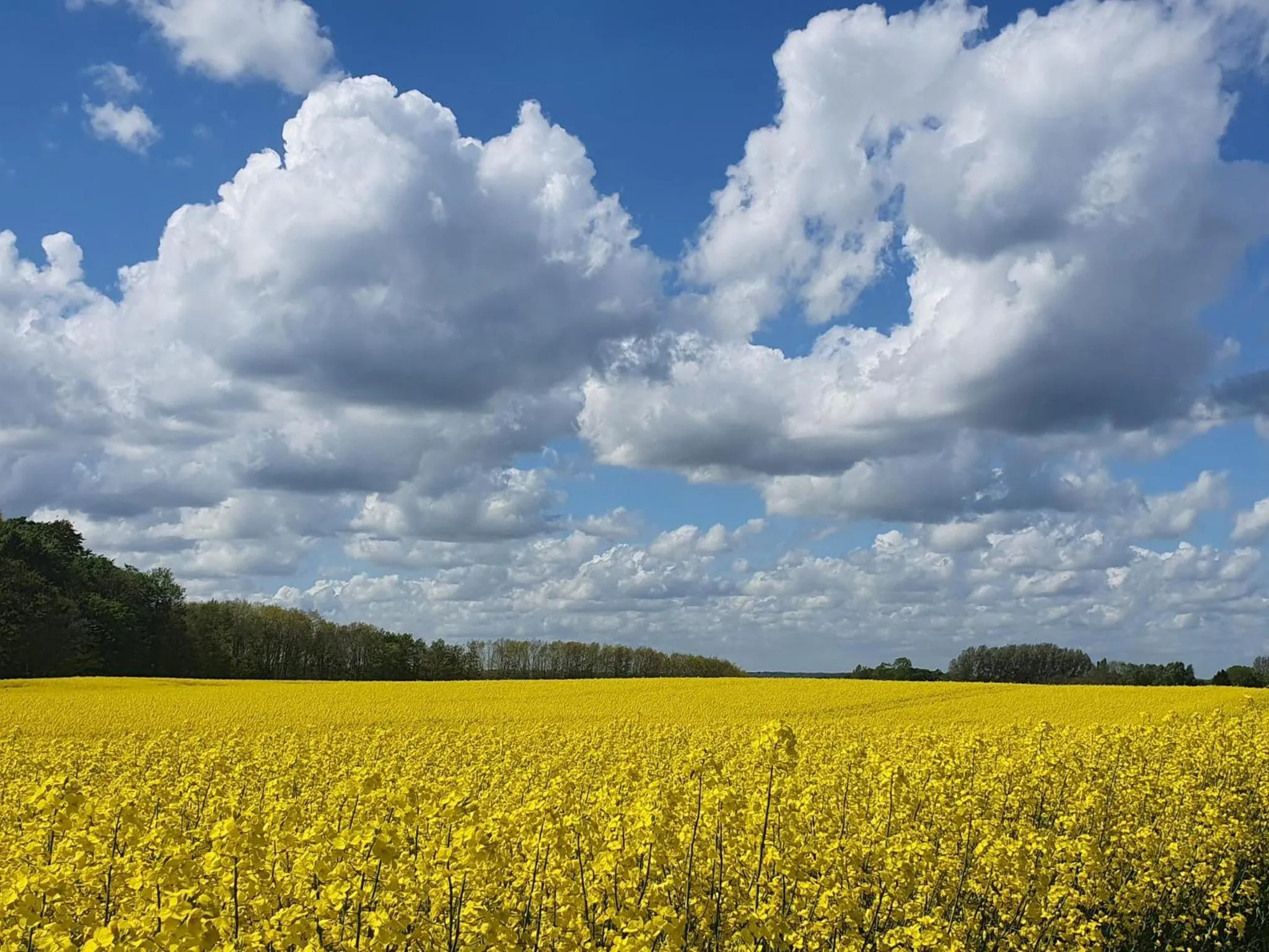 Staff in Peanuts Hostel & Meer