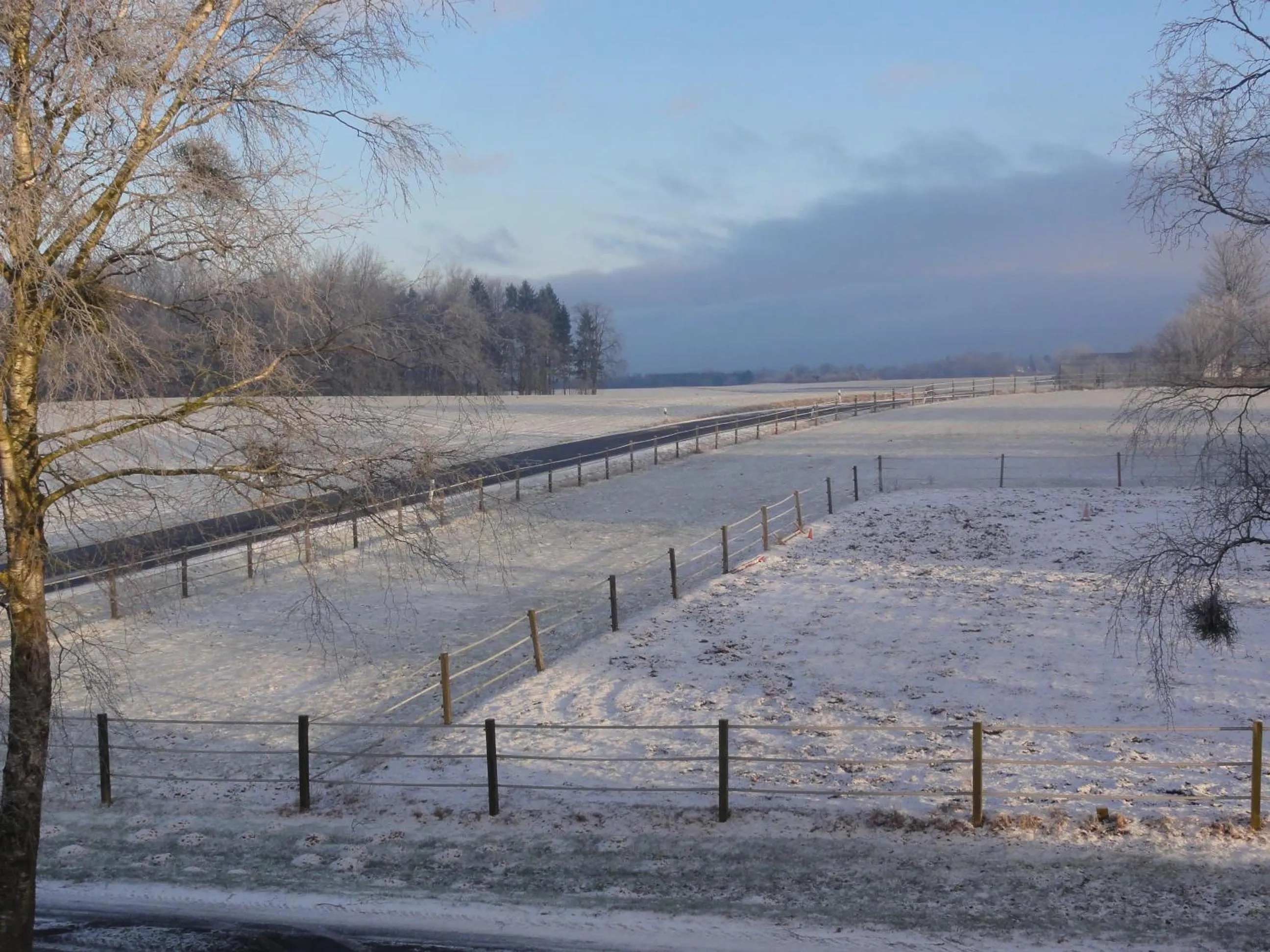 View (from property/room) in Peanuts Hostel & Meer