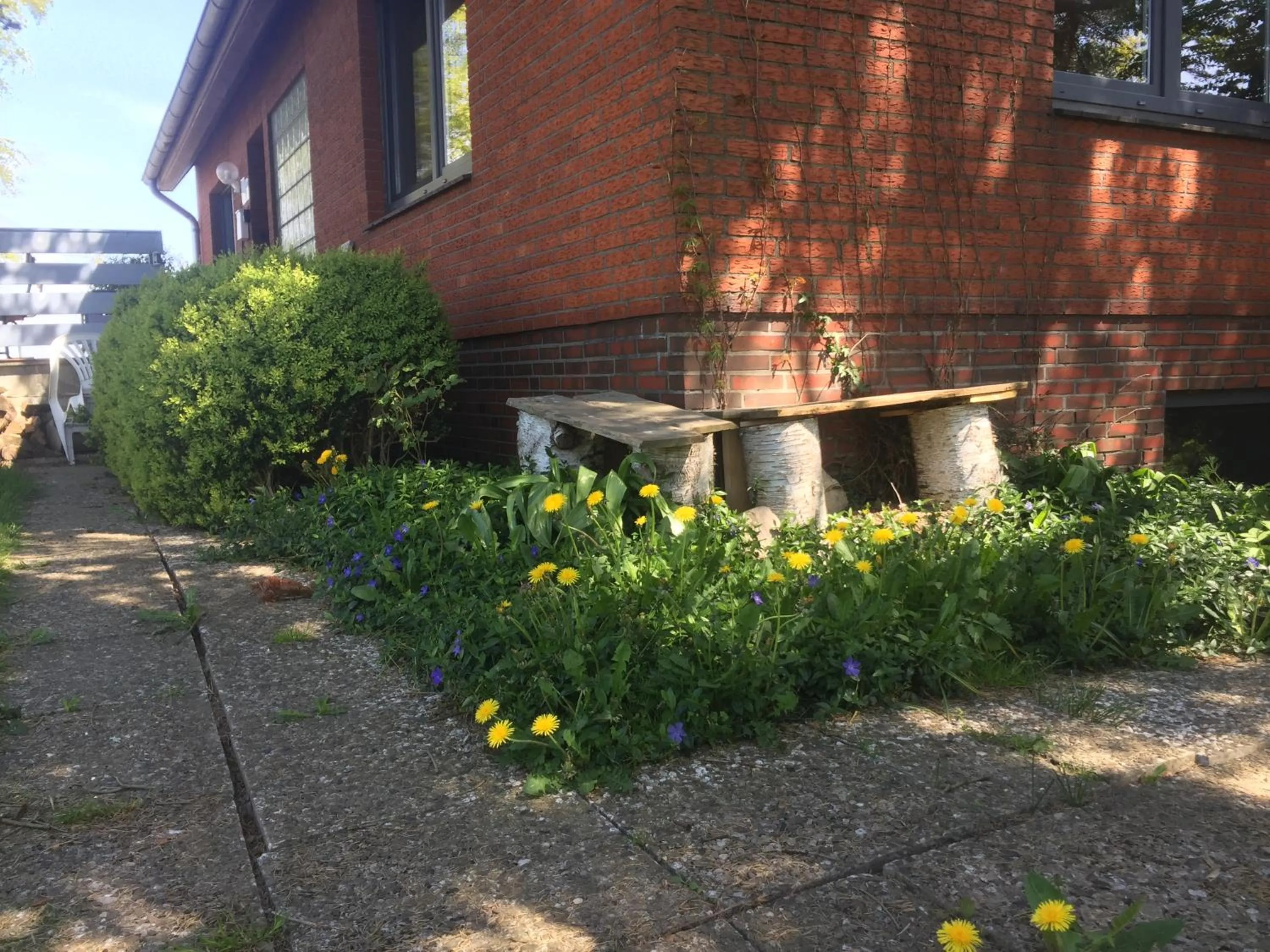 Garden in Peanuts Hostel & Meer