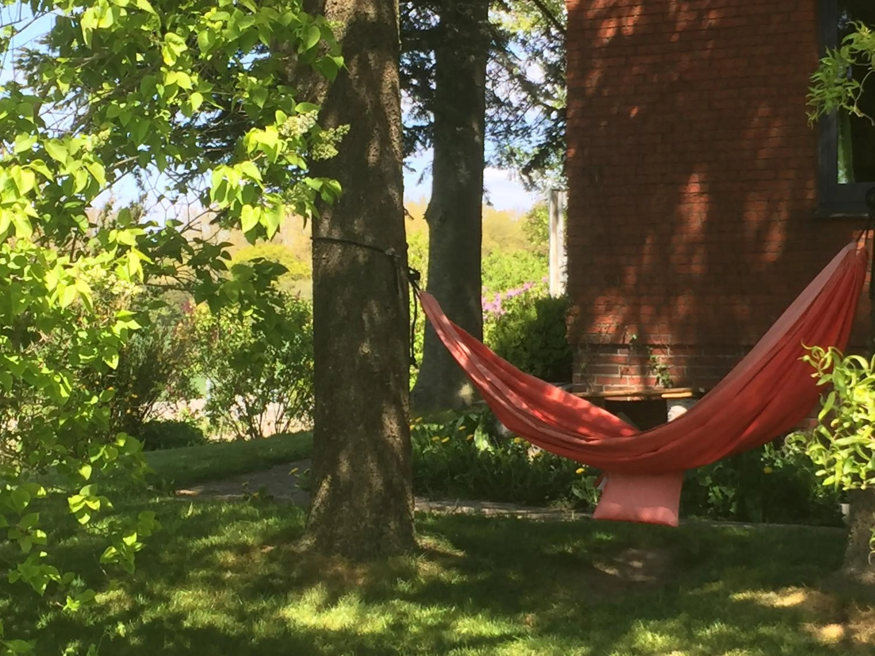 Garden in Peanuts Hostel & Meer