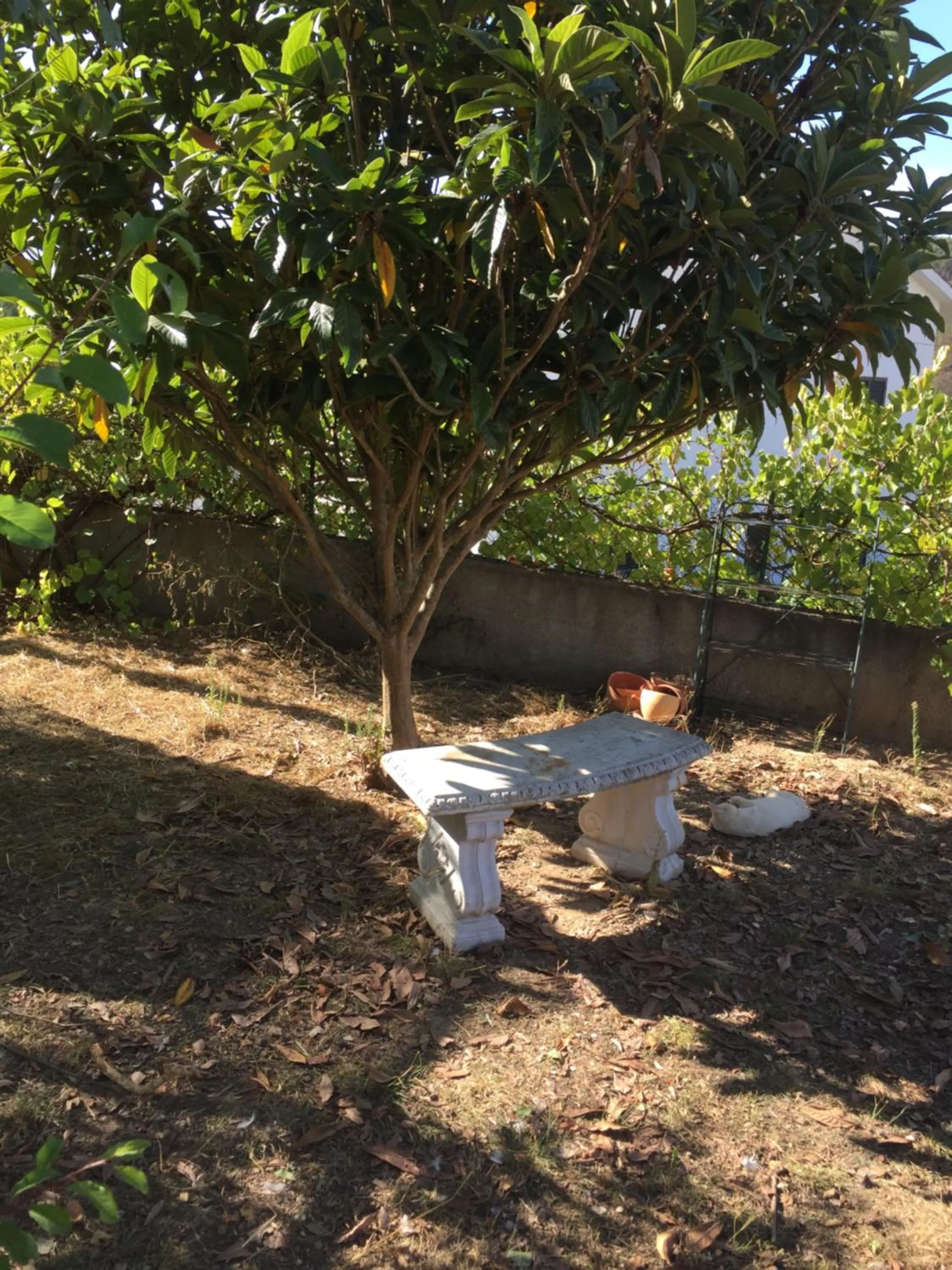 Garden in Casa Traca