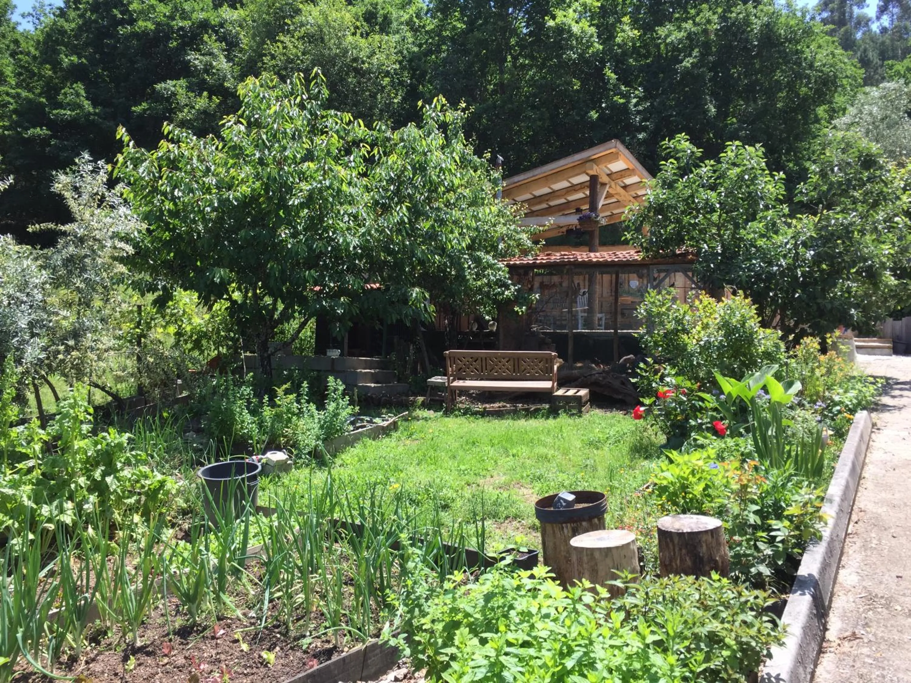 Spring in Casa Traca