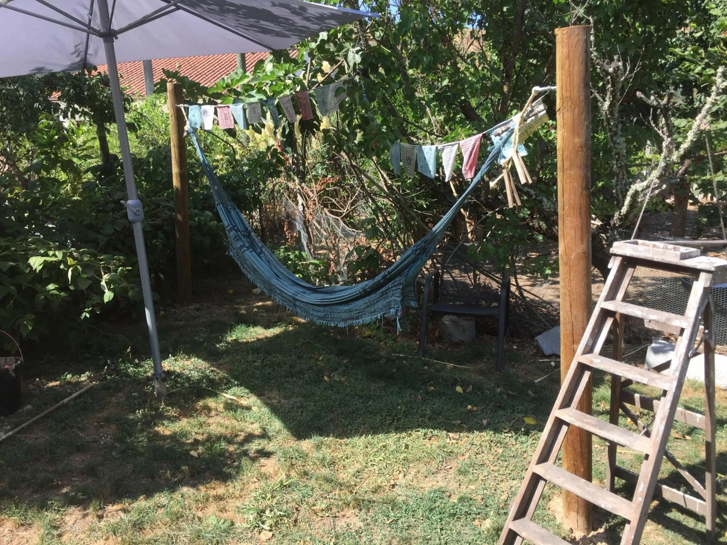Garden in Casa Traca