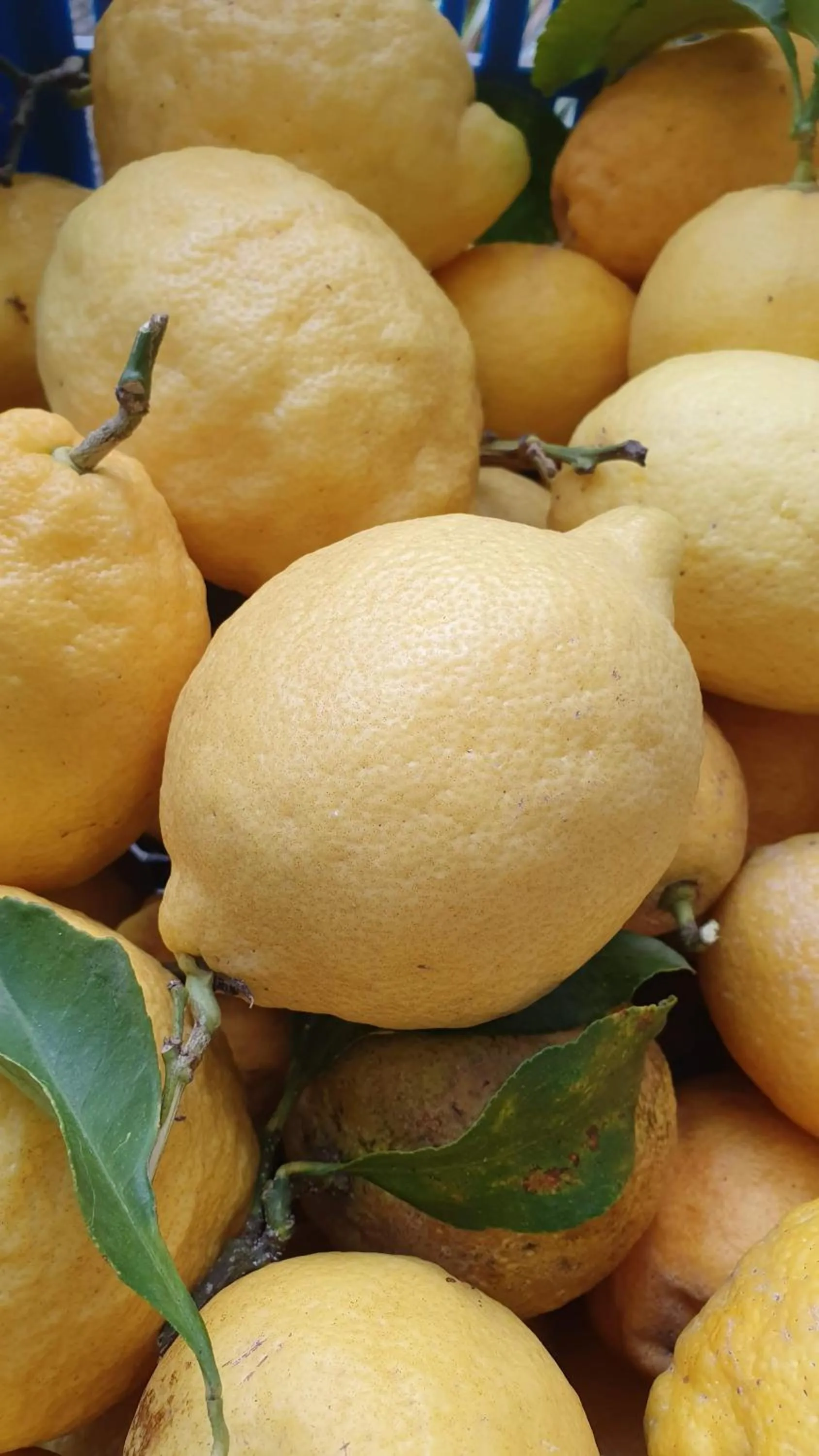 Food in Casa Nannina