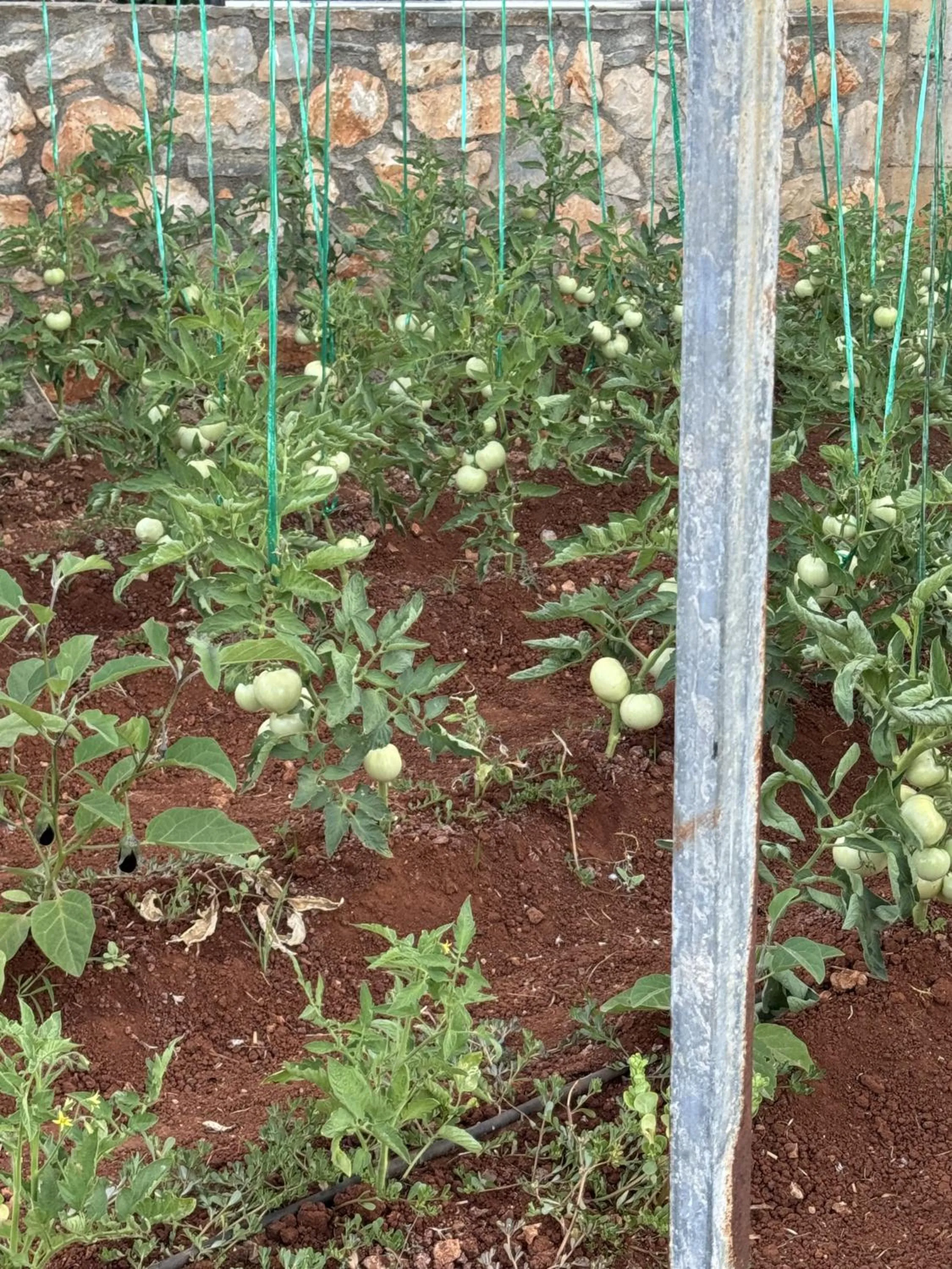 Garden in The Noverian Scenic Crete 5 Star Hilltop Villa Resort & Spa