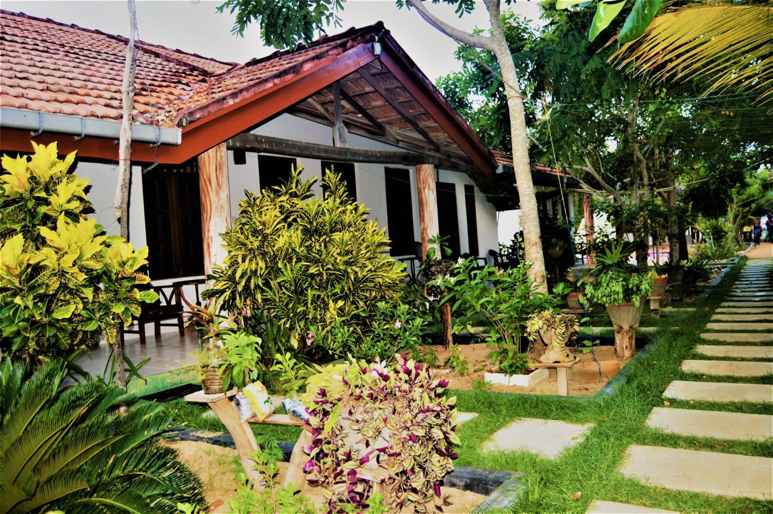 Garden in Shim Beach Resort