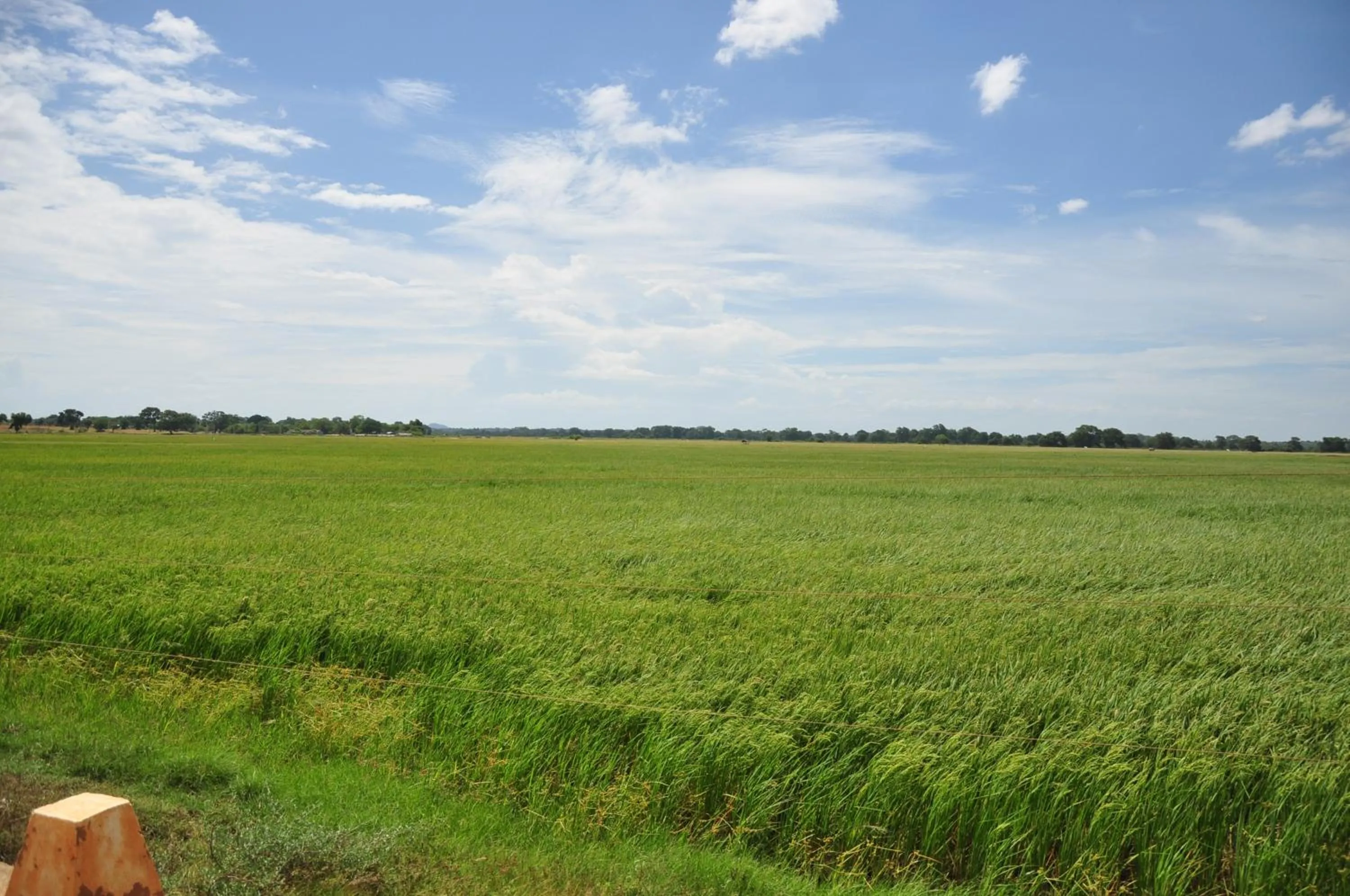 Off site in Shim Beach Resort