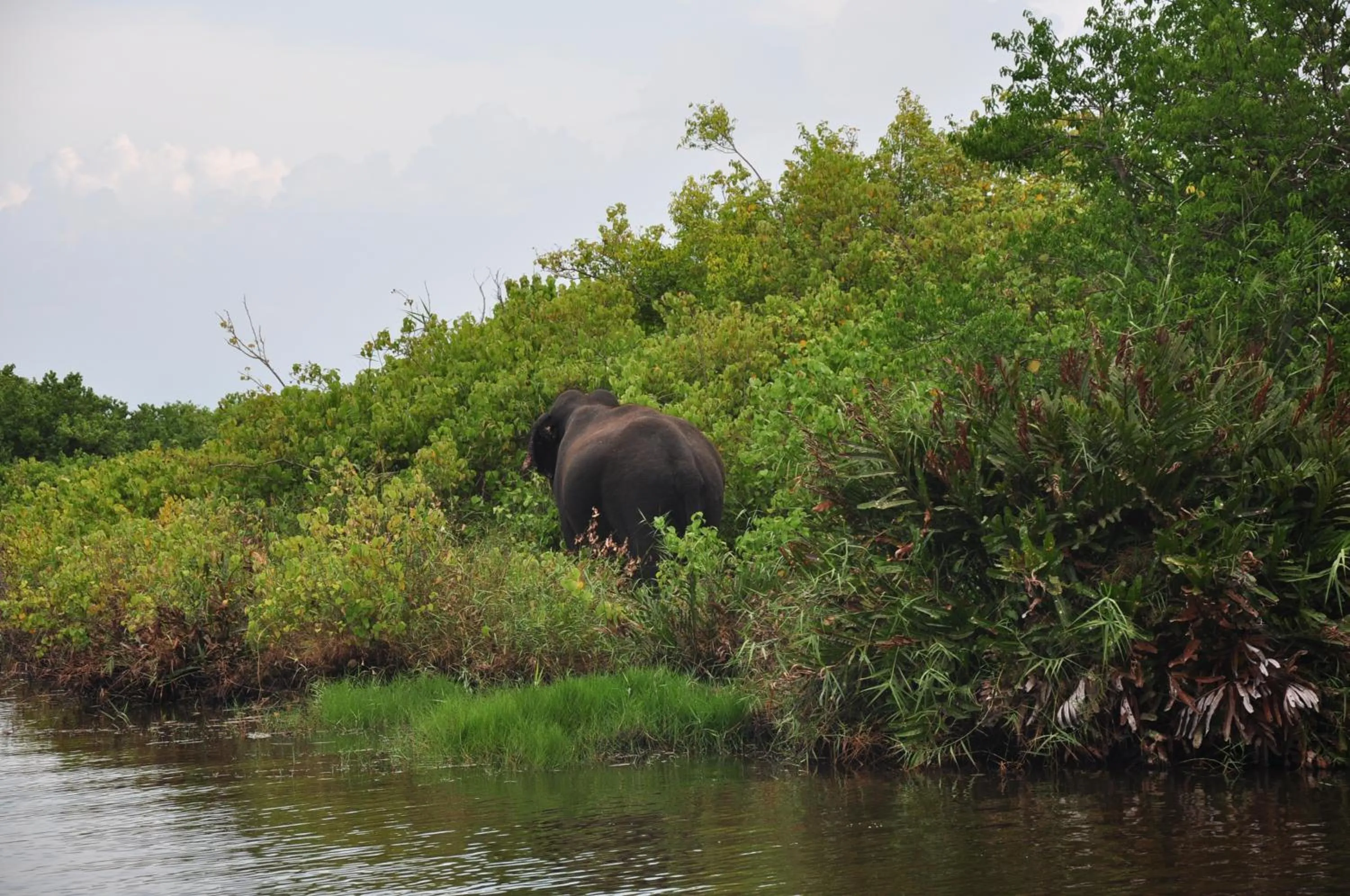 Bird's eye view in Shim Beach Resort
