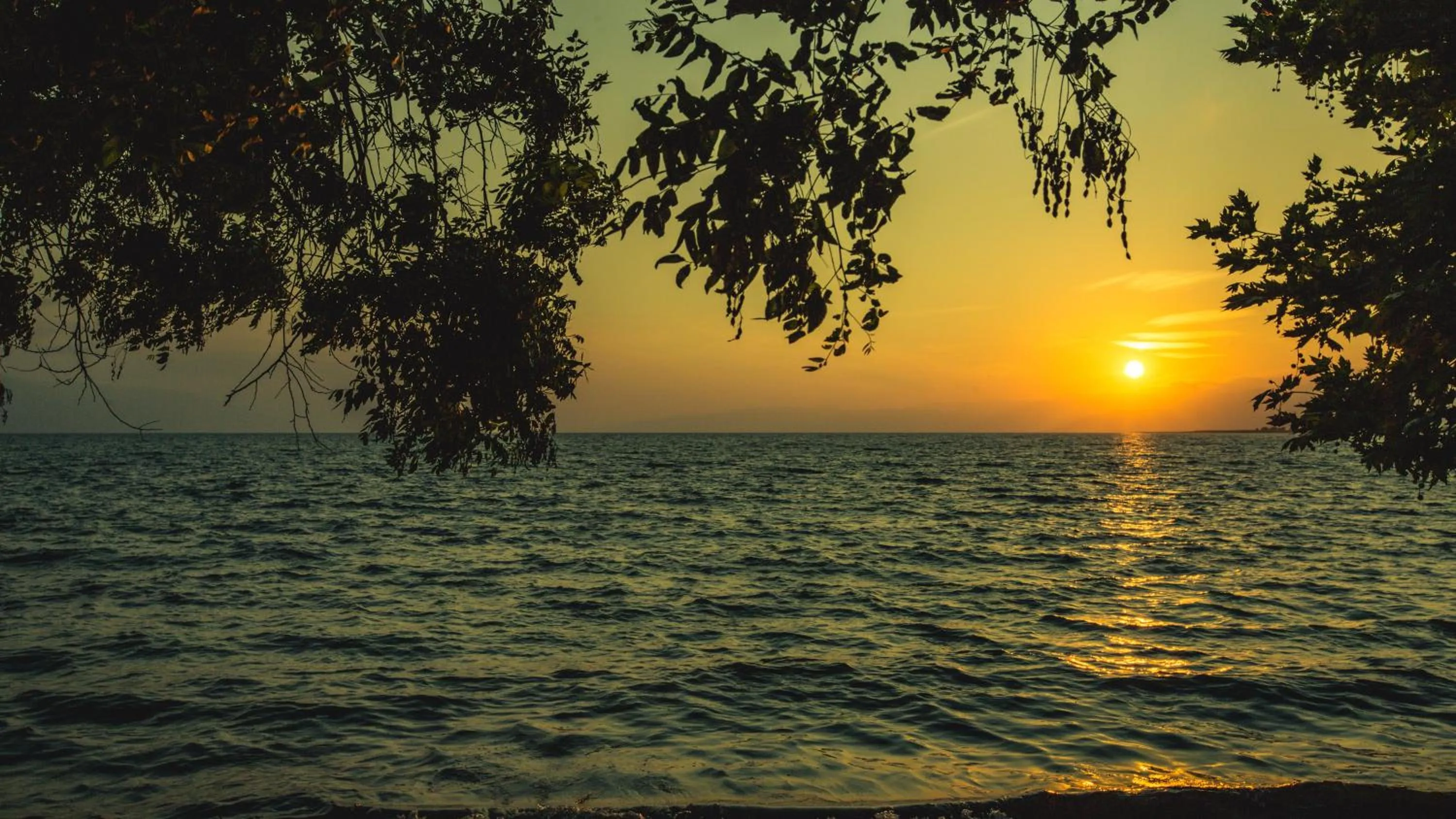 Windsurfing in Limnades Hotel İznik