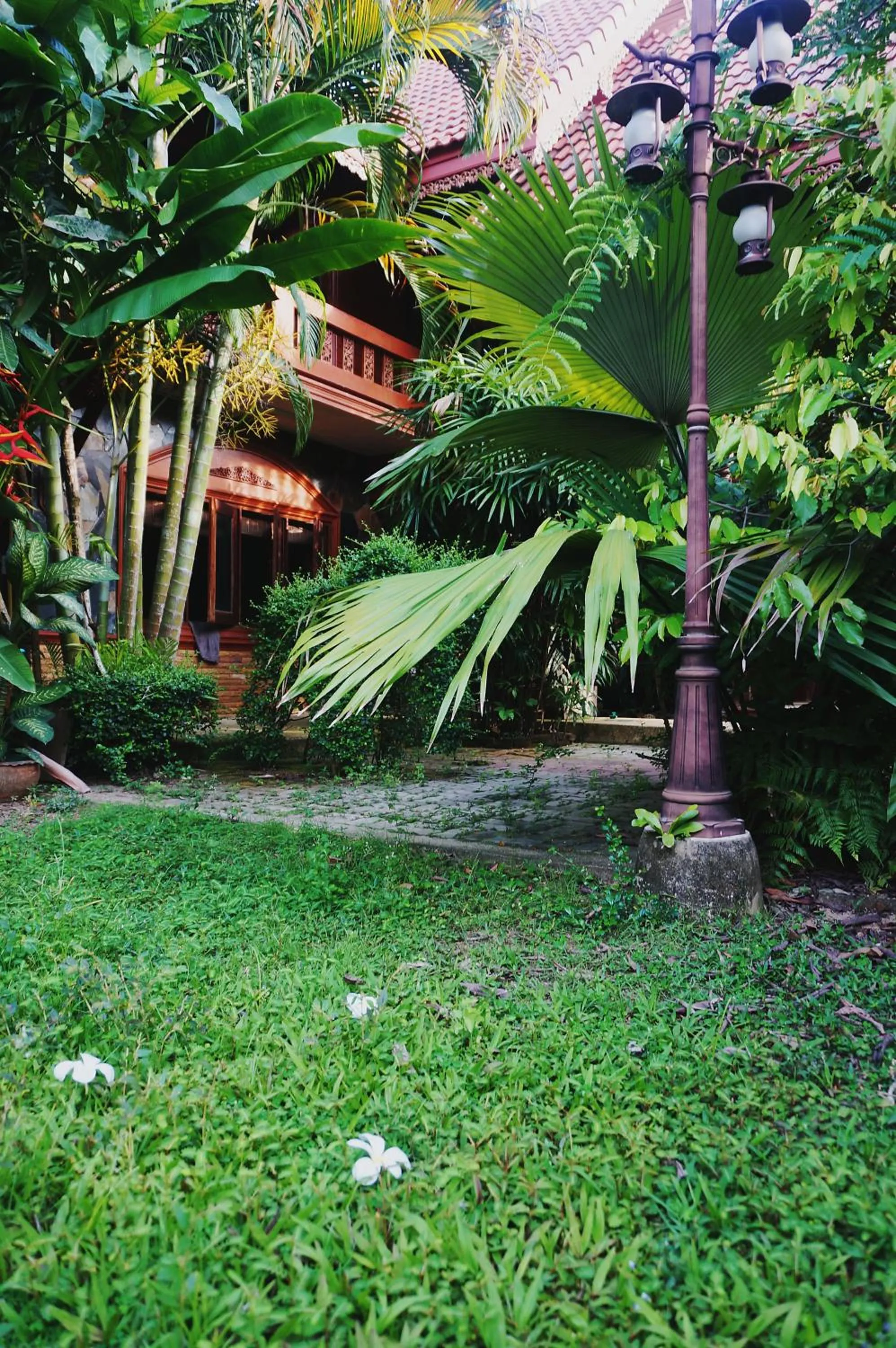 Garden in Ruen Tai Boutique