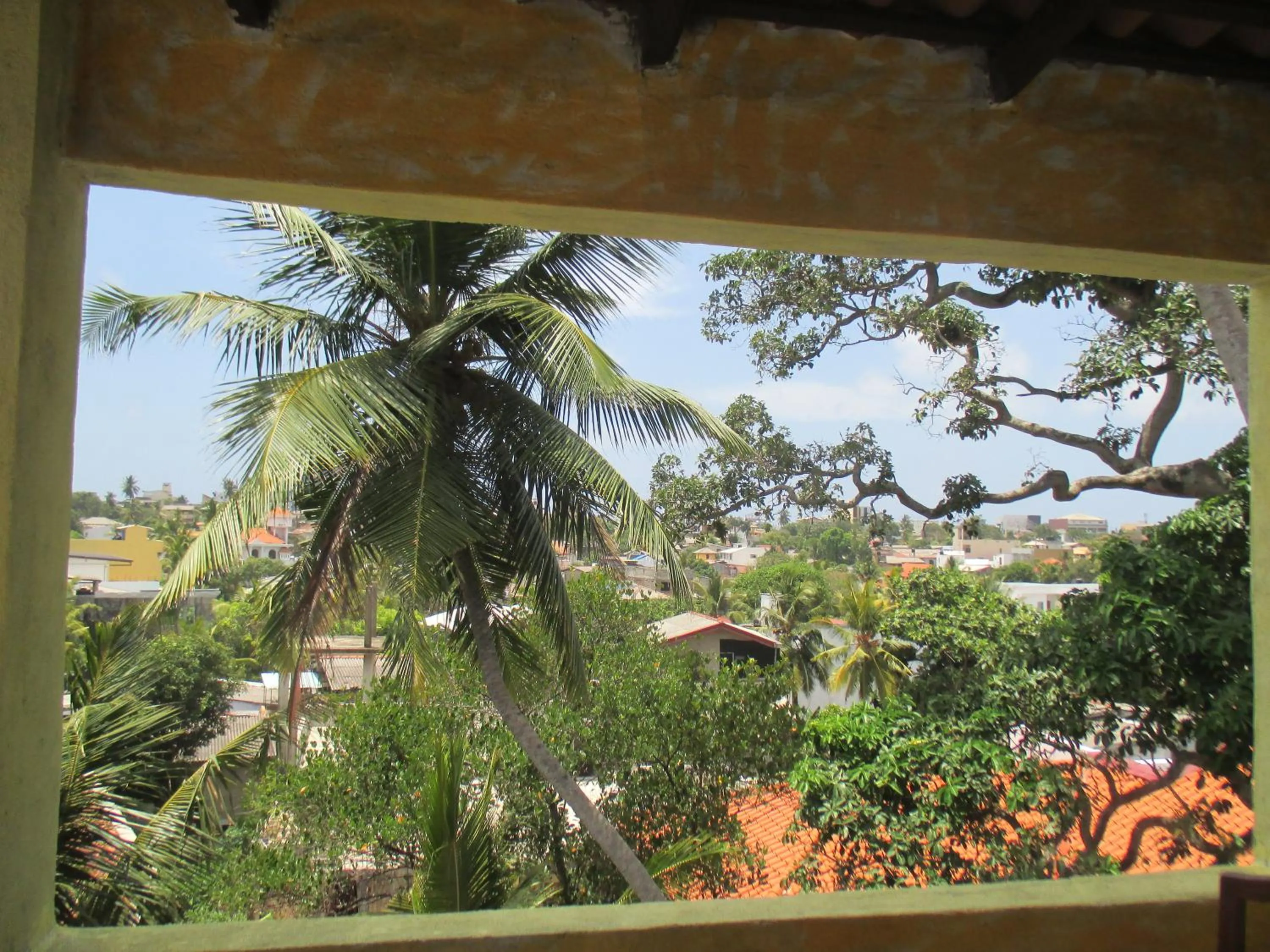 Garden view in Sithila Villa