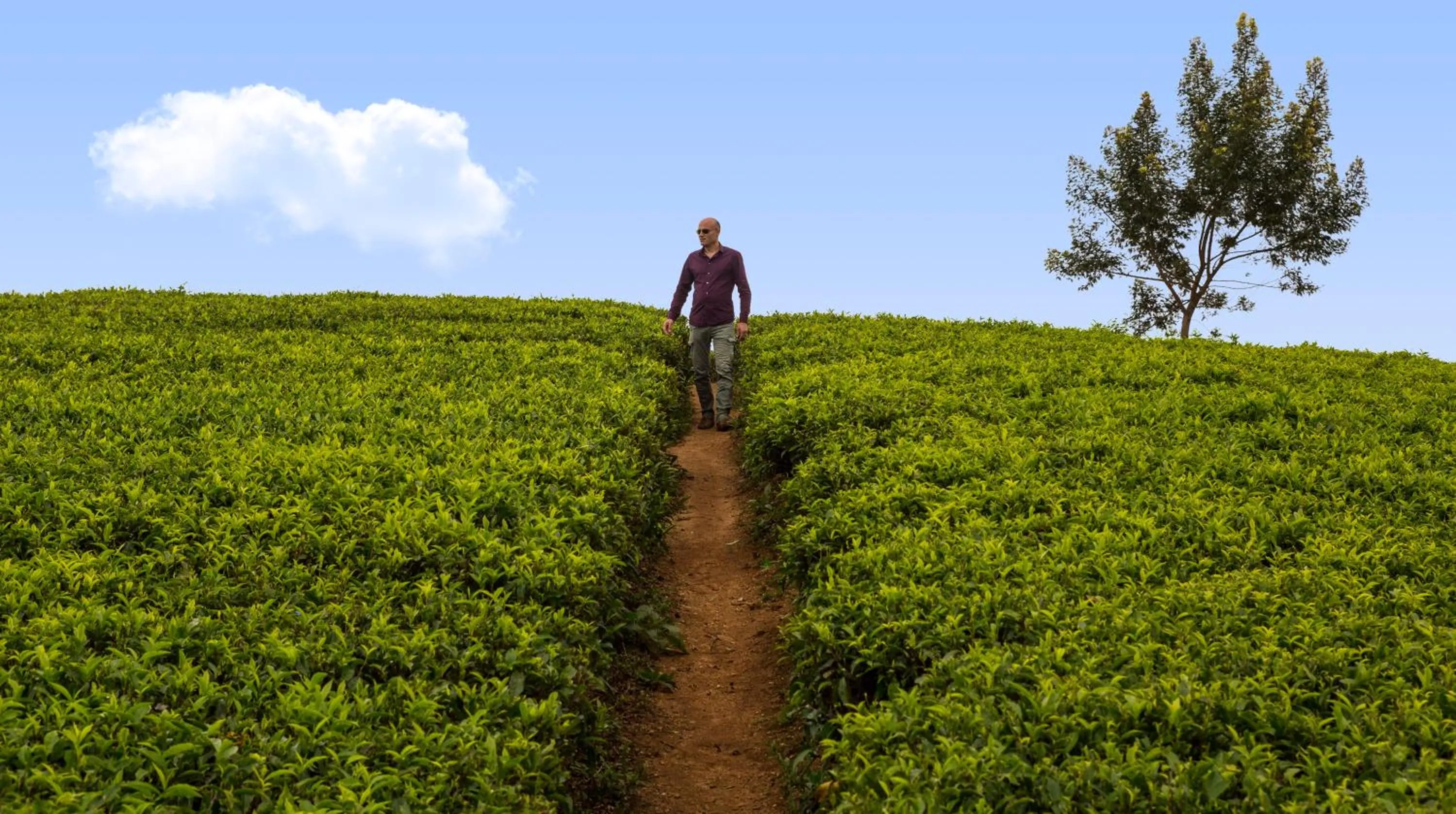 Off site in Hill Rise Luxury Villa & Stables by Edwards Collection - Nuwara Eliya