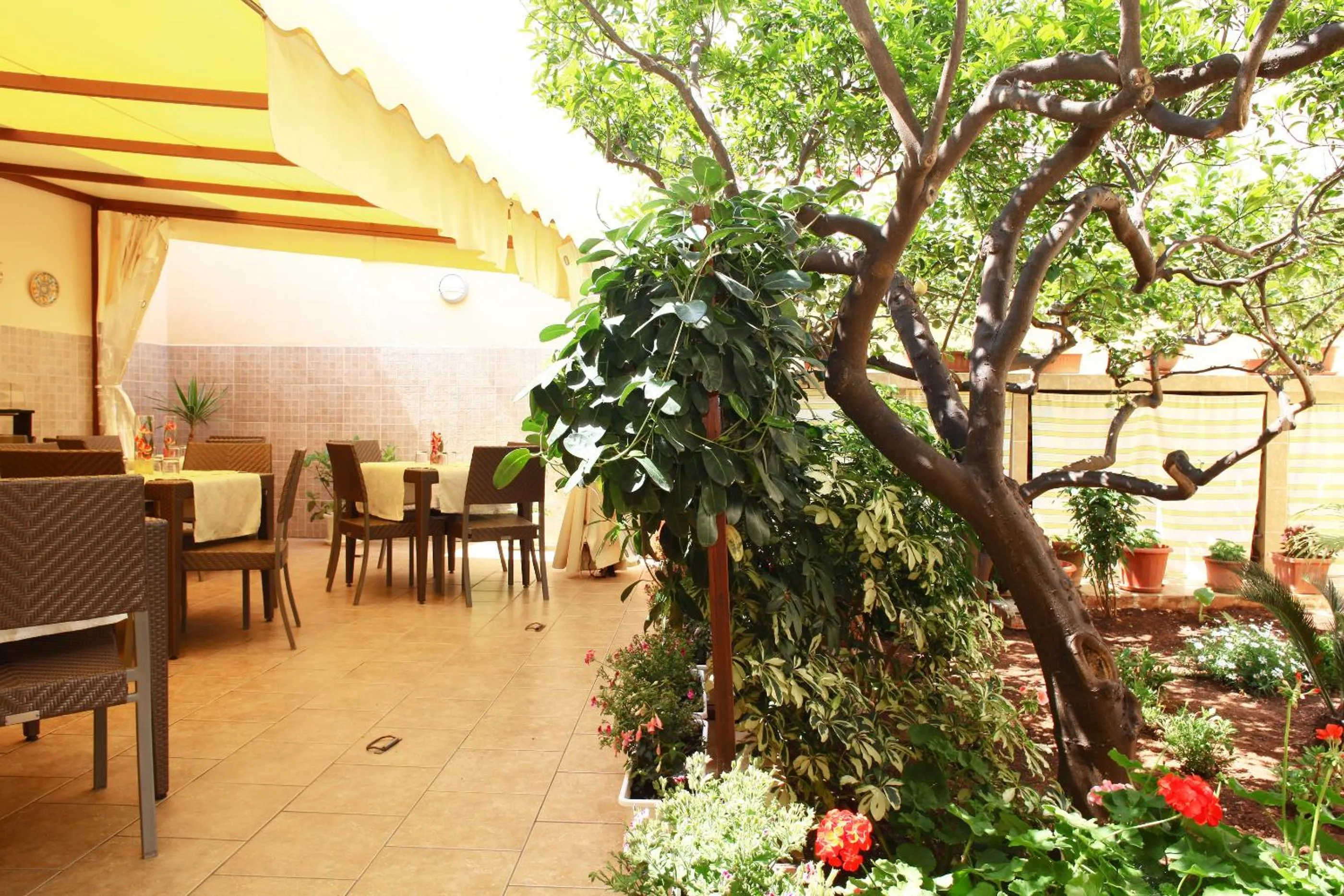 Garden in Coralia Bed & Breakfast