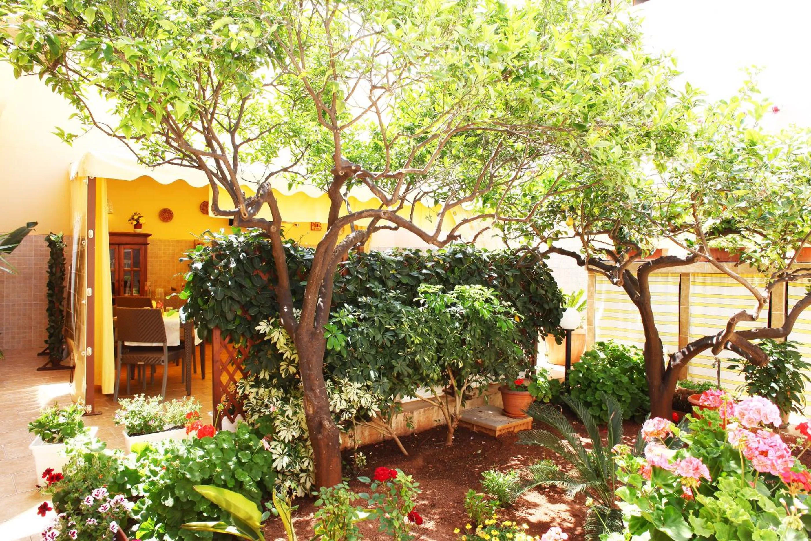 Garden in Coralia Bed & Breakfast