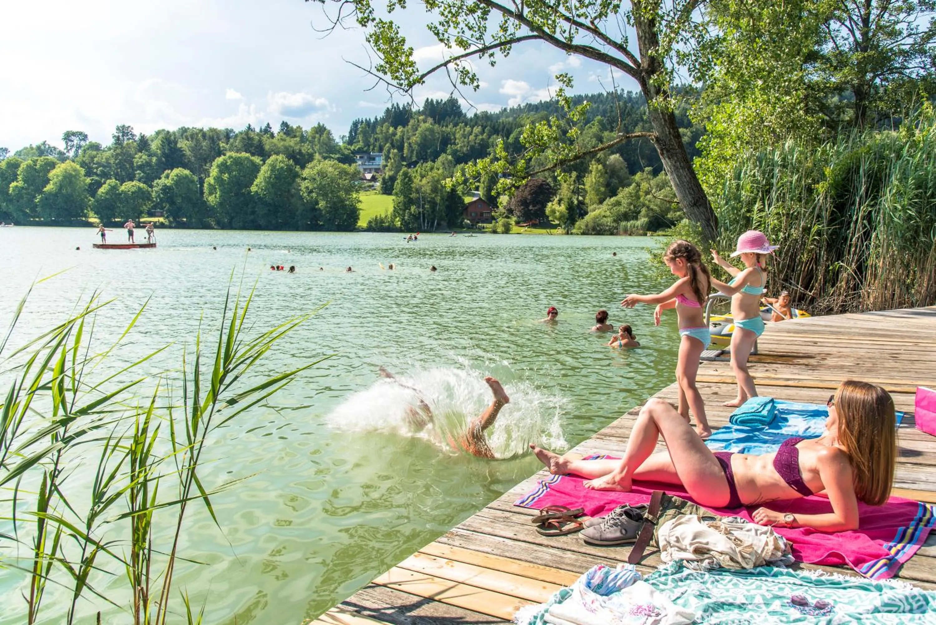 Natural landscape in Maltschacher Seewirt