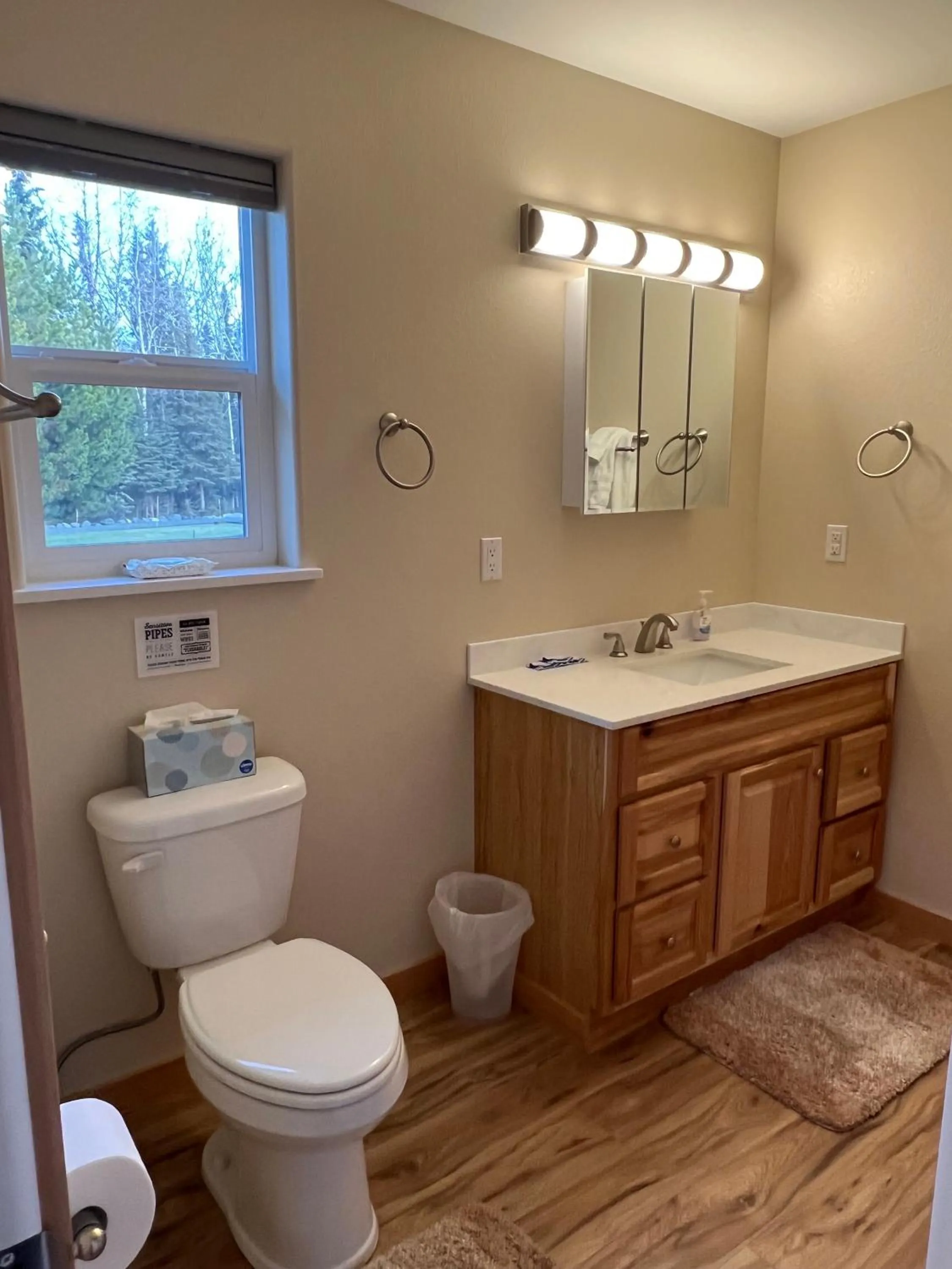 Toilet in Eagle's Eye Vacation Rentals